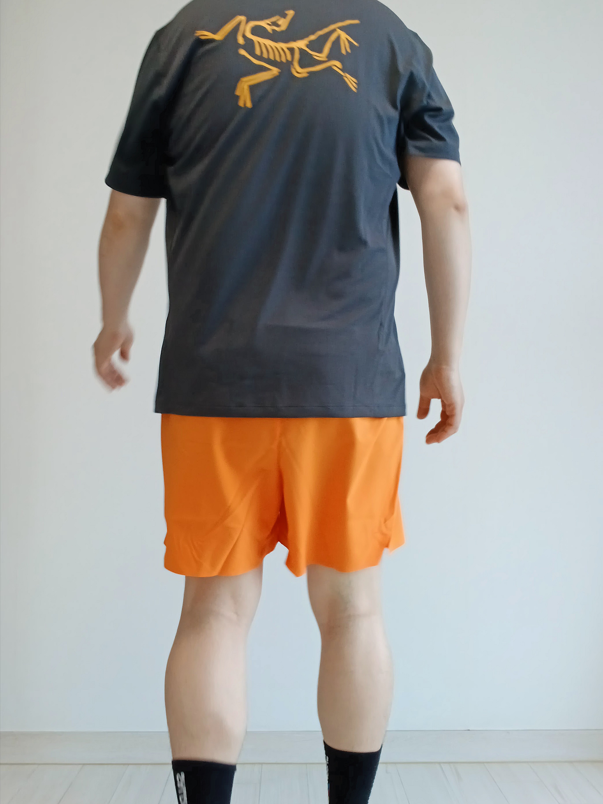 Arc'teryx Norvan Shorts 5 Inch Verve, Arc'teryx Norvan LD 4 GTX Black 착용 스타일 - 7