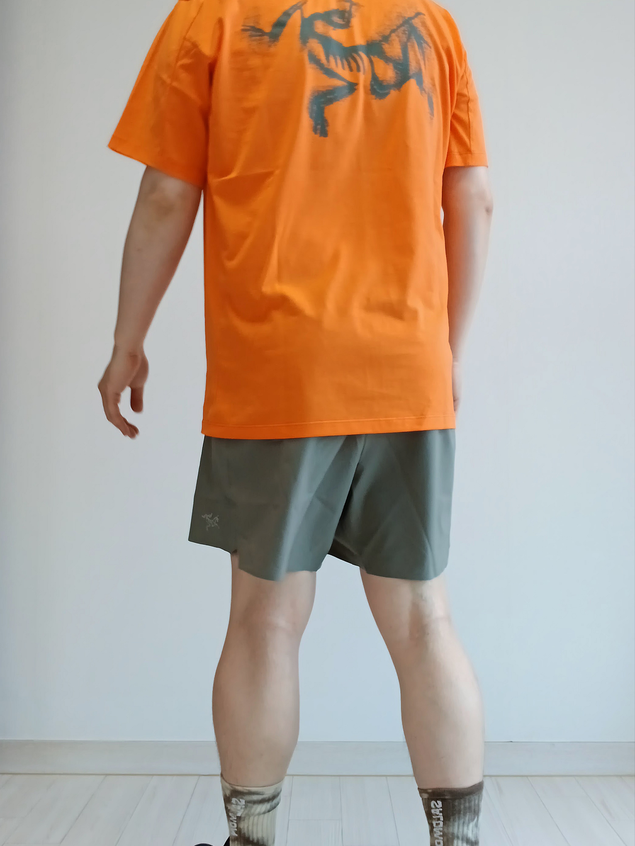 Arc'teryx Kragg SL Cotton Blurred Bird SS T-Shirt Black Dynasty, Arc'teryx Kragg SL Cotton Blurred Bird SS T-Shirt White Light Atmos 착용 스타일 - 1