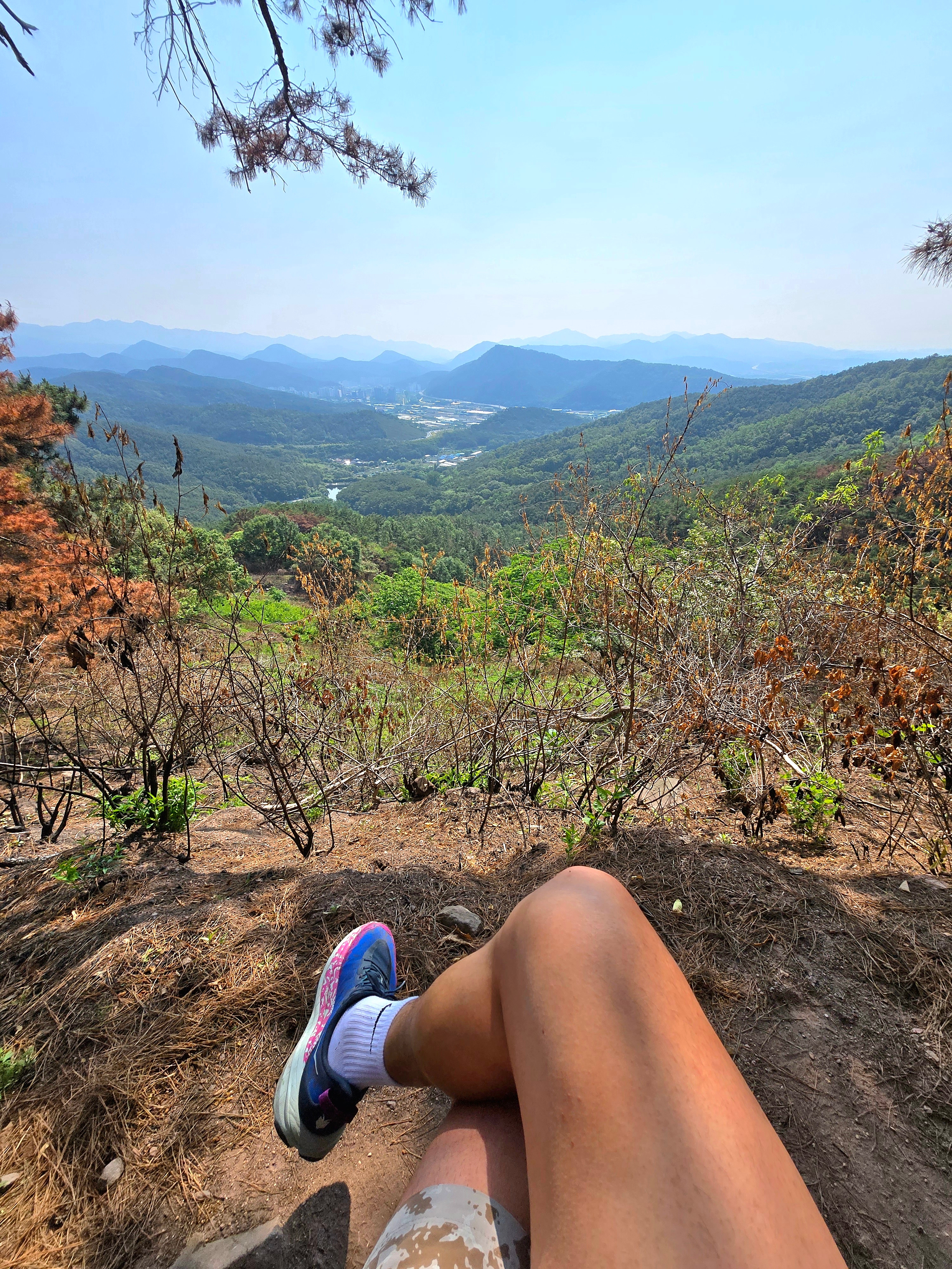 Nike ACG Print Trail Shorts Light Iron Ore - Asia, Hoka Speedgoat 6 GTX Blue Twilight Druzy 착용 스타일