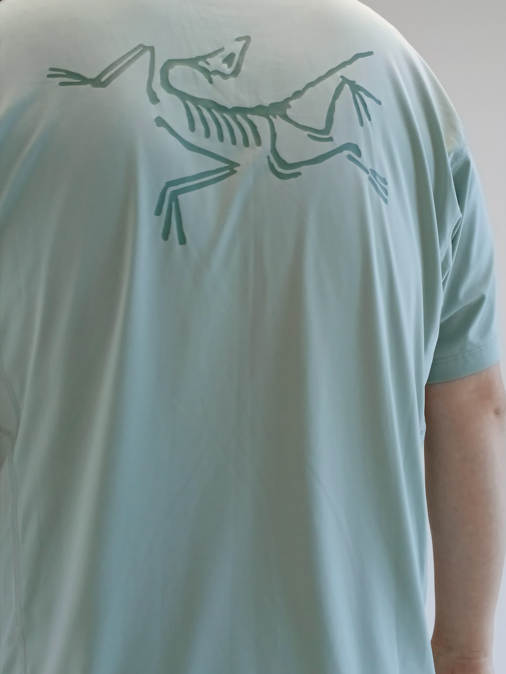 Arc'teryx Motus Arcword Crew SS T-Shirt Stone Green Heather, Arc'teryx Norvan Liner 7 Inch Shorts Forage Tatsu 착용 스타일 - 6