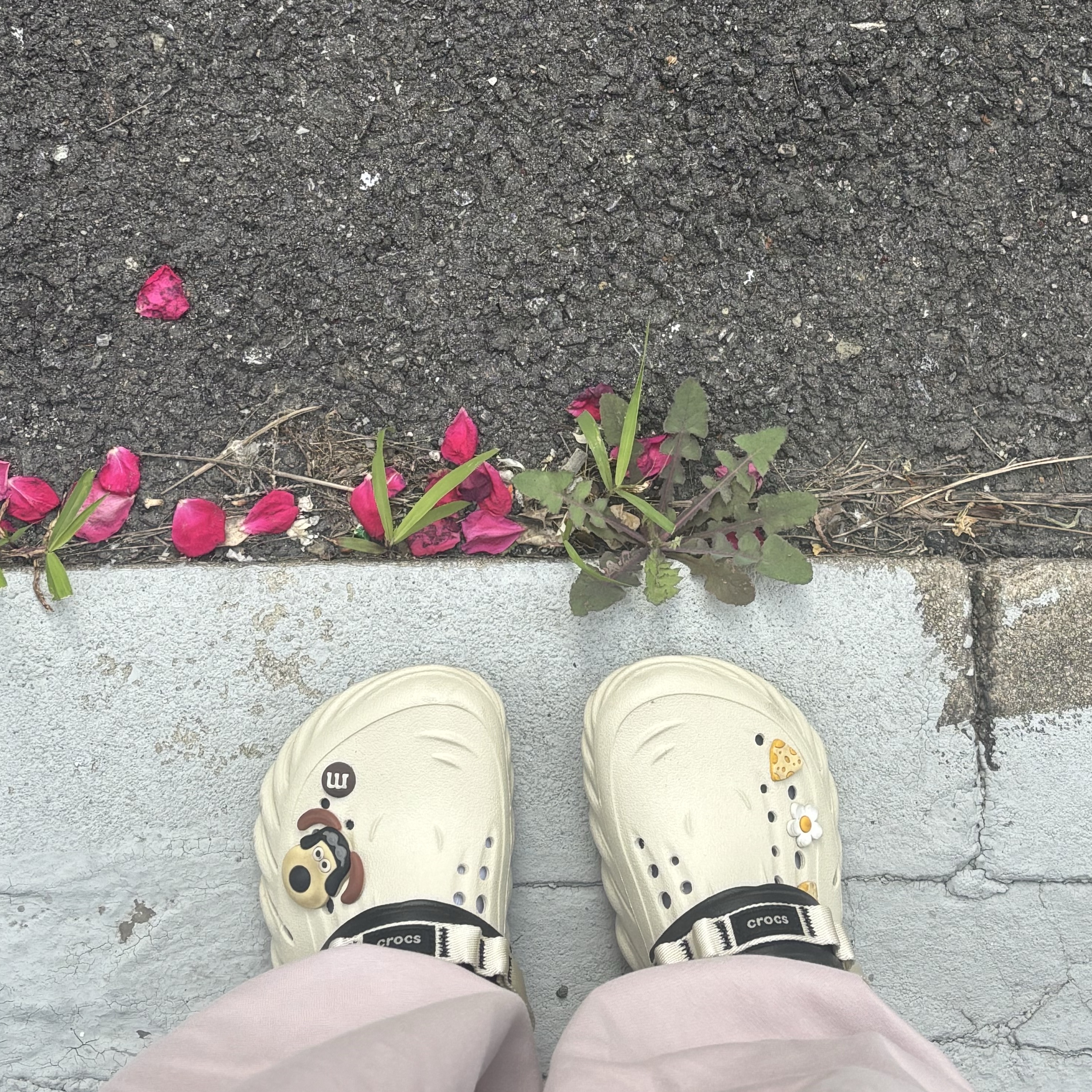 Crocs Echo Clog Bone Black 착용 스타일