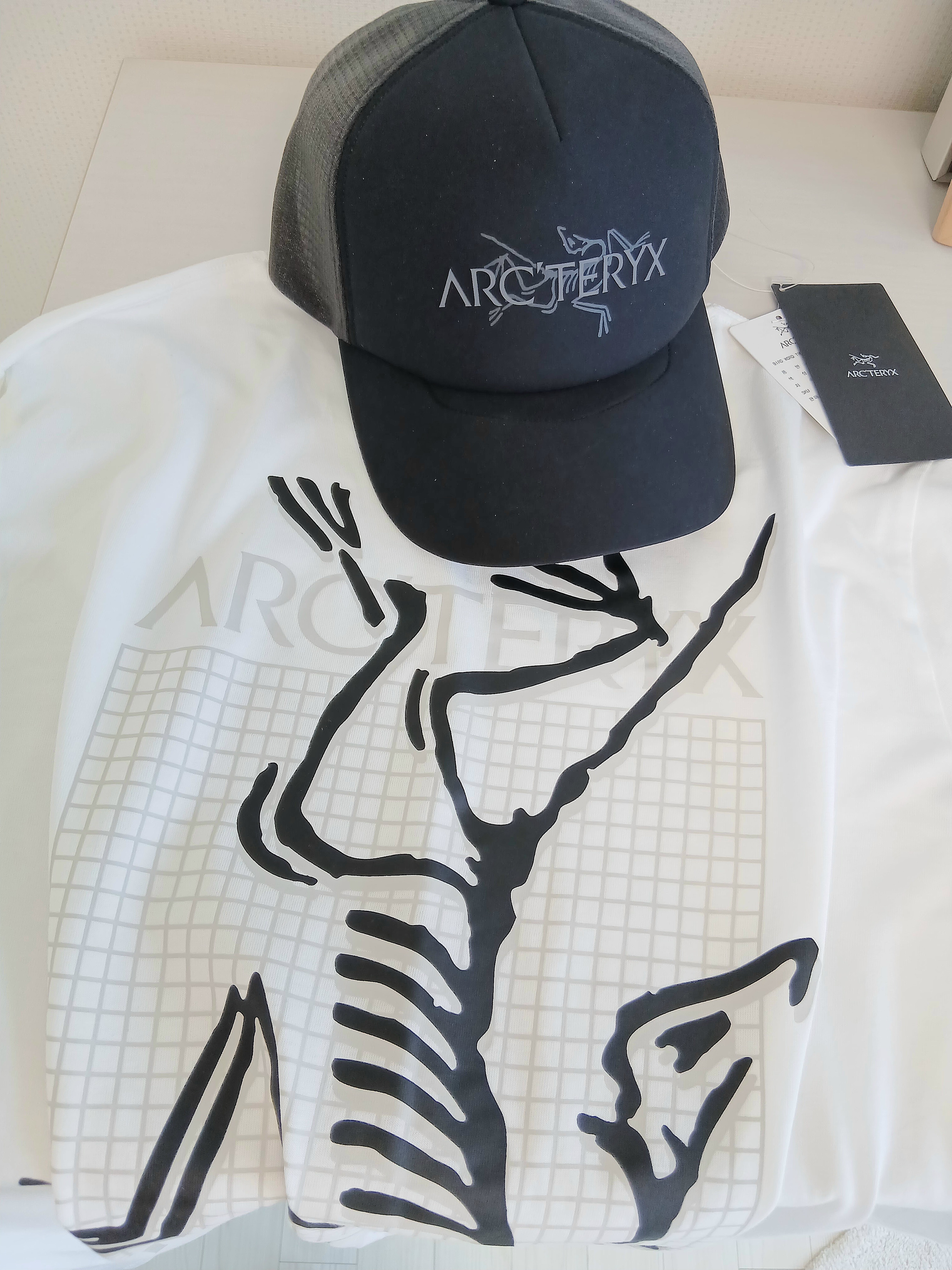 Arc'teryx Bird Word Trucker Hat Black Cloud, Arc'teryx Arc'Multi Bird Logo SS T-Shirt White Light 착용 스타일 - 1