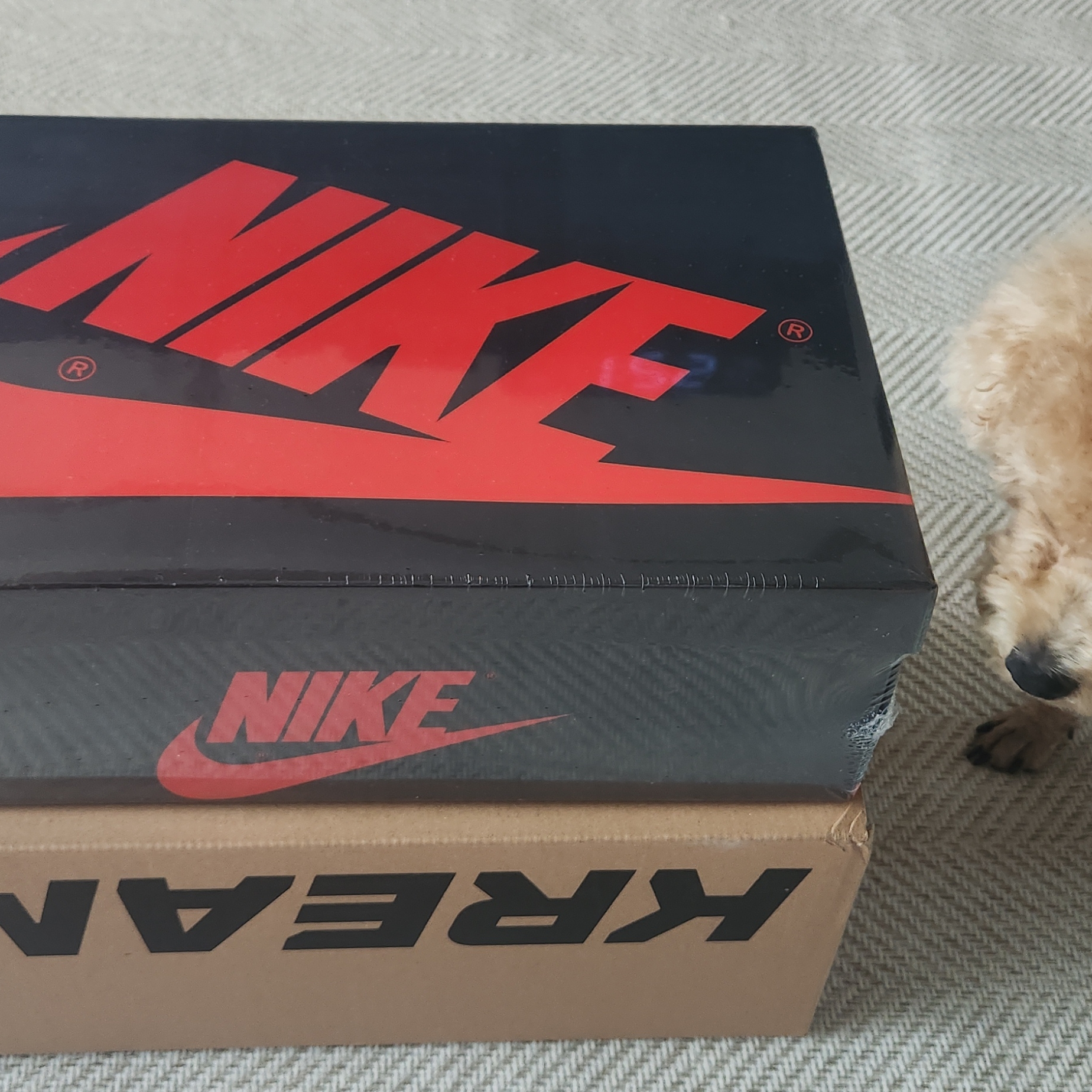 Jordan 1 Retro Low OG Bleached Coral 착용 스타일 - 1