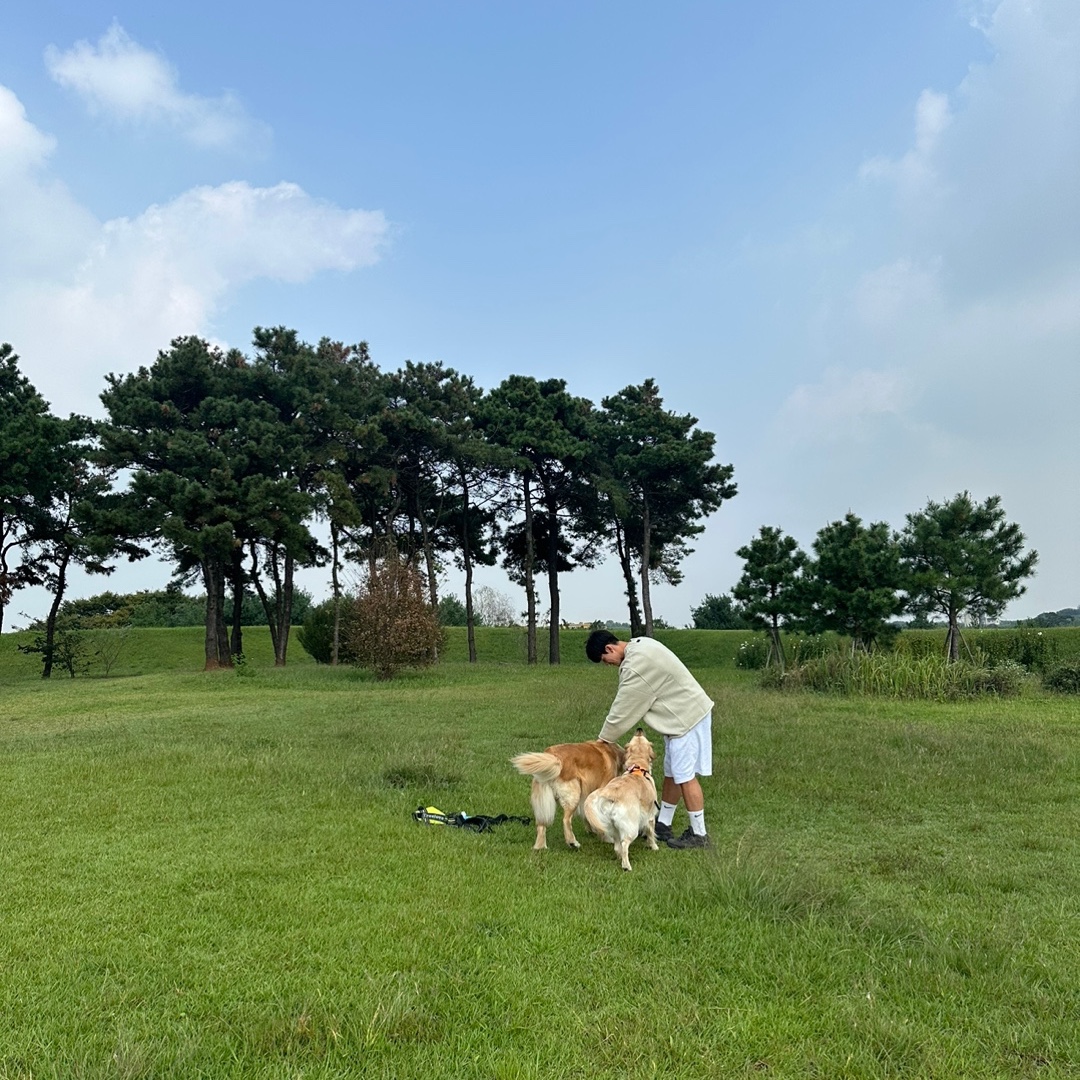 Essentials 1977 Crewneck Sweatshirt Wheat - 22SS, Nike Air VaporMax 2023 Flyknit Triple Black 착용 스타일 - 1