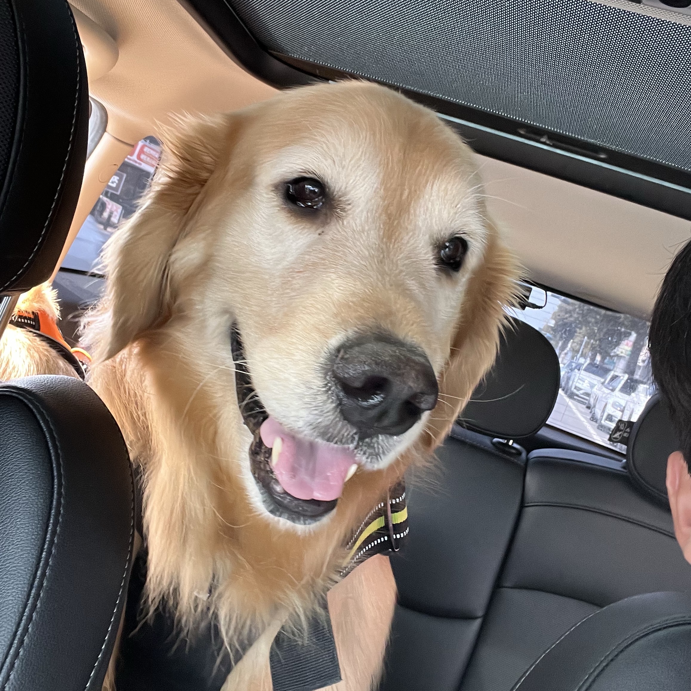 Essentials 1977 Crewneck Sweatshirt Wheat - 22SS, Nike Air VaporMax 2023 Flyknit Triple Black 착용 스타일 - 2