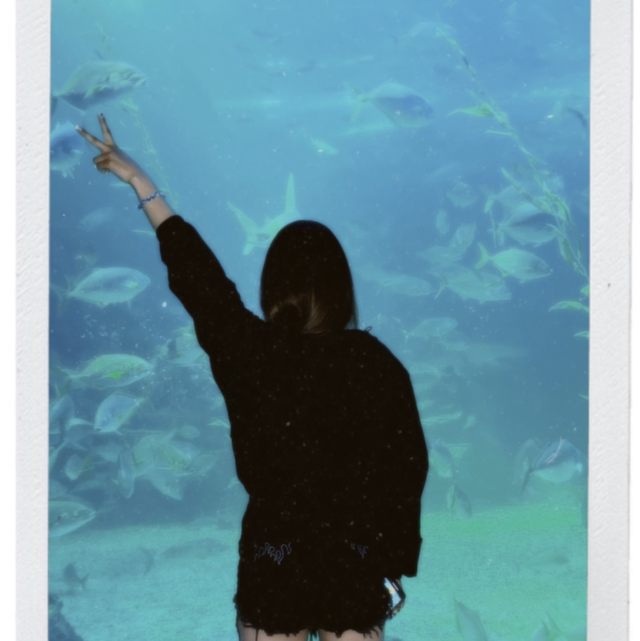 bolroo___1님의 스타일