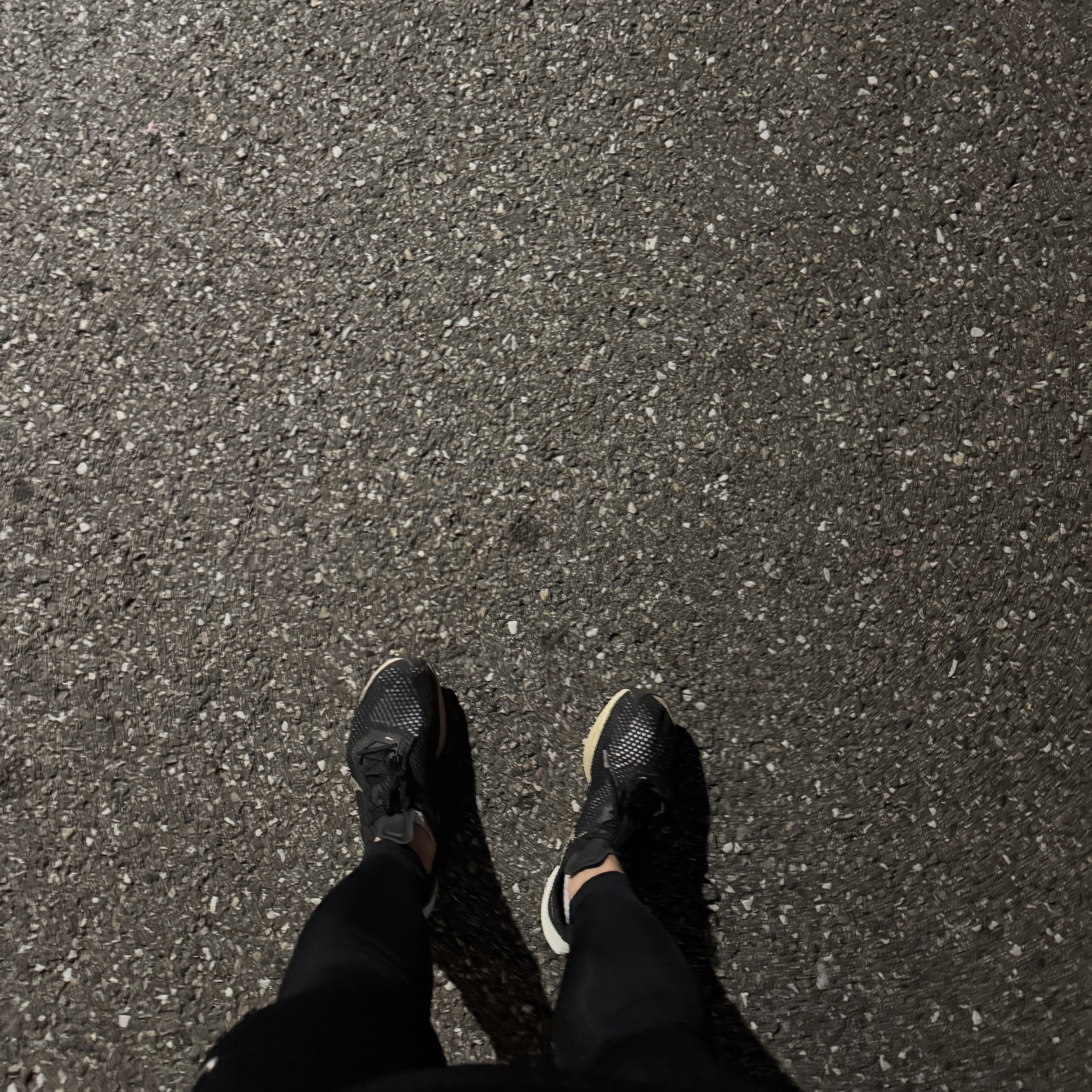 Nike ZoomX Vaporfly Next% 3 Black Metallic Gold Grain 착용 스타일