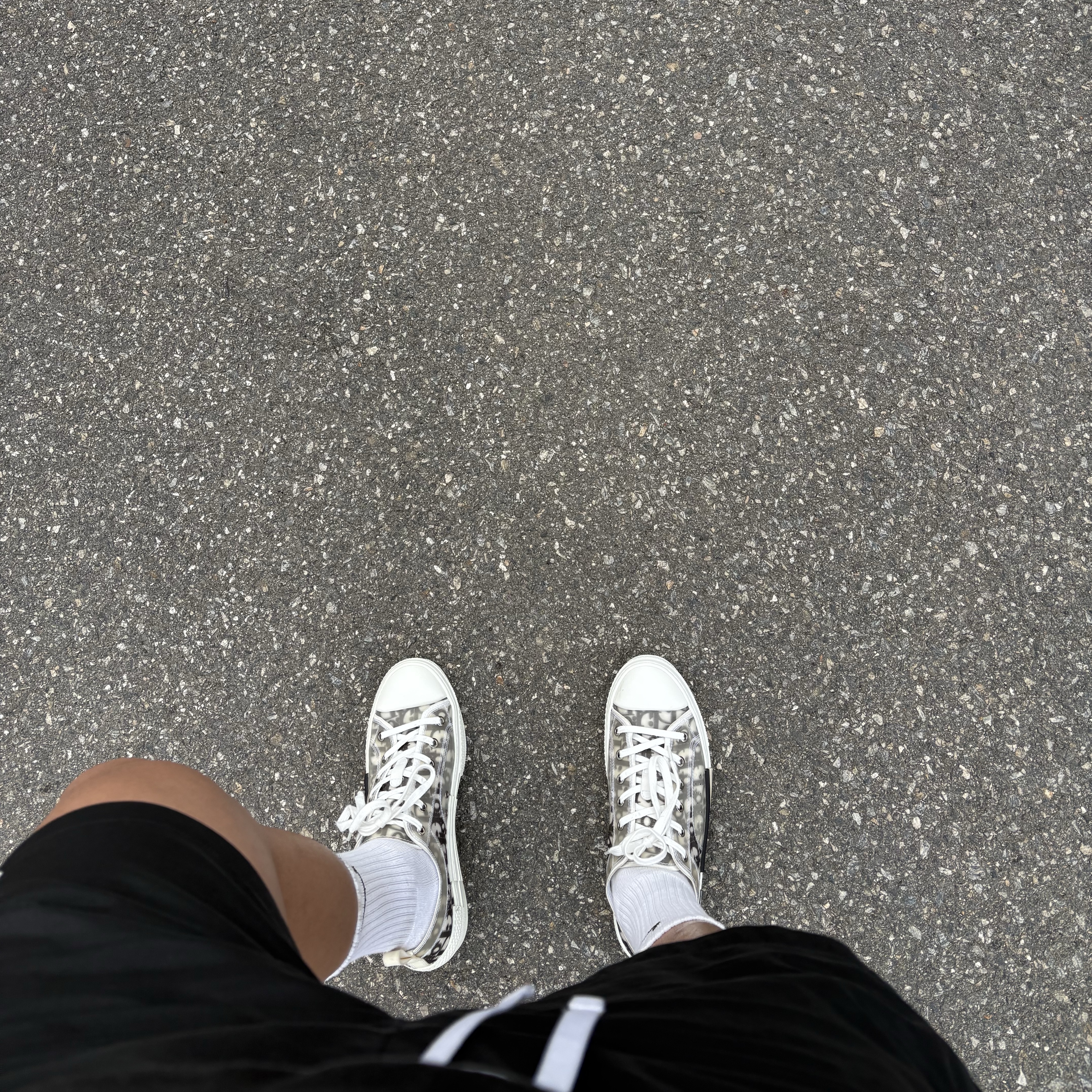 Dior B23 Low Dior Oblique White & Black 착용 스타일