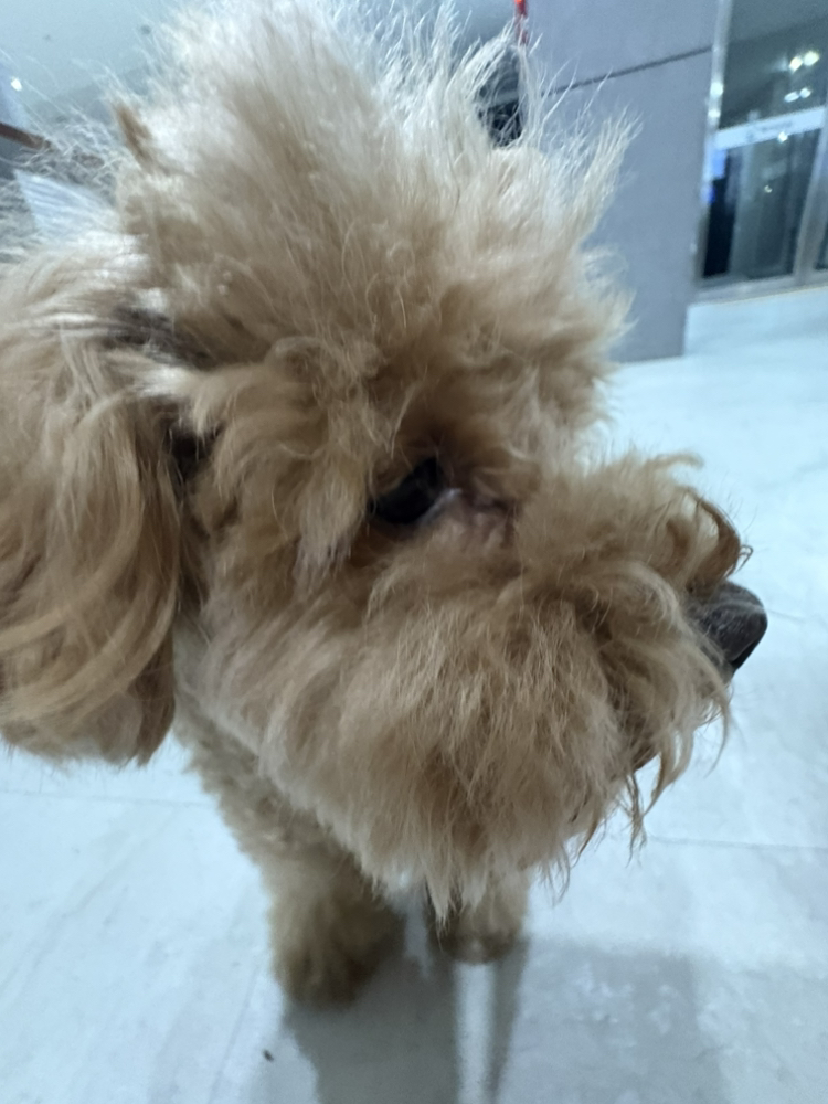 관심 유저 프로필 이미지