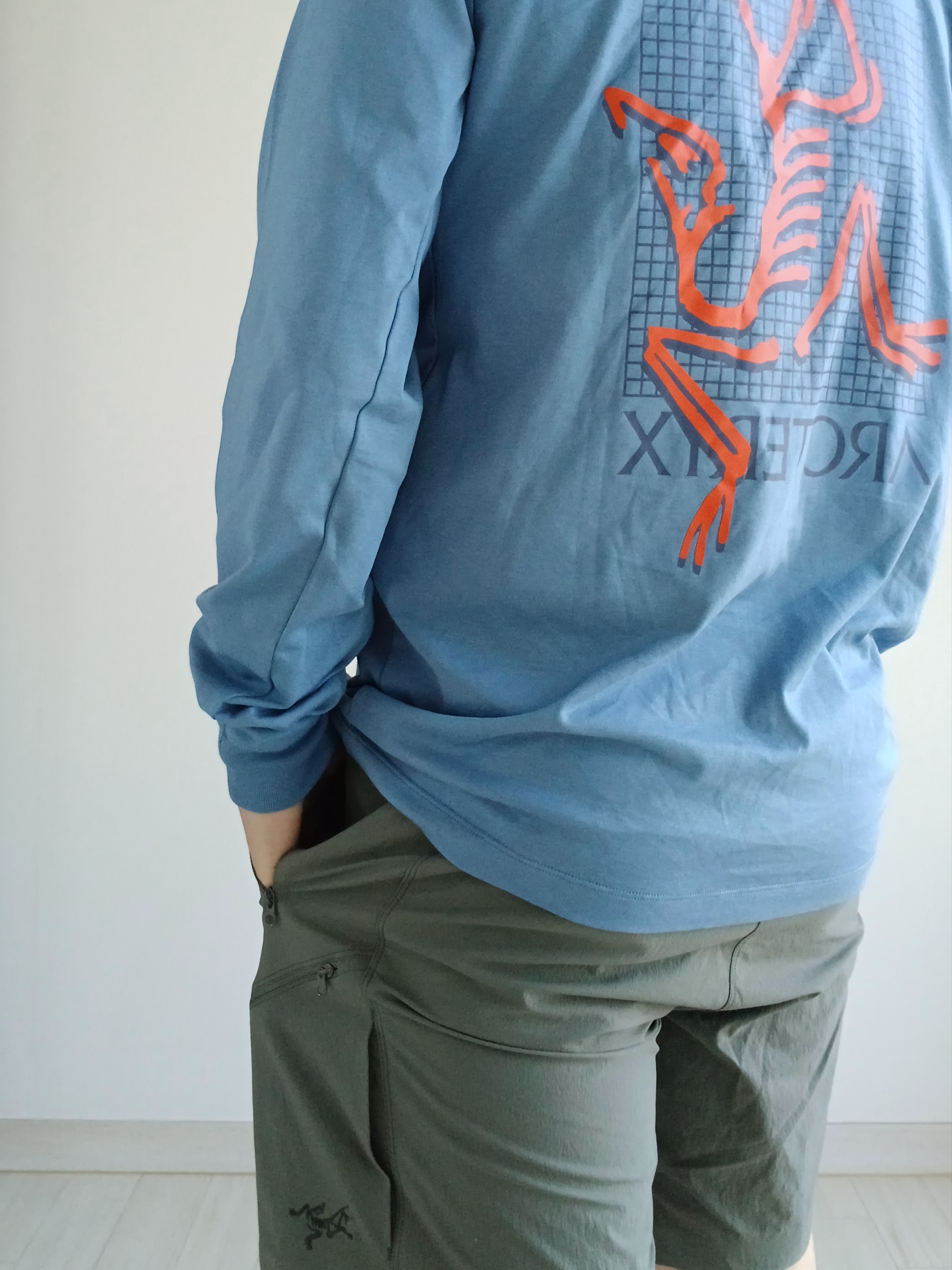 Arc'teryx Arc'Multi Bird Logo LS T-Shirt Stone Wash, Arc'teryx Gamma Quick Dry Shorts 9 Inch Canvas 착용 스타일 - 3