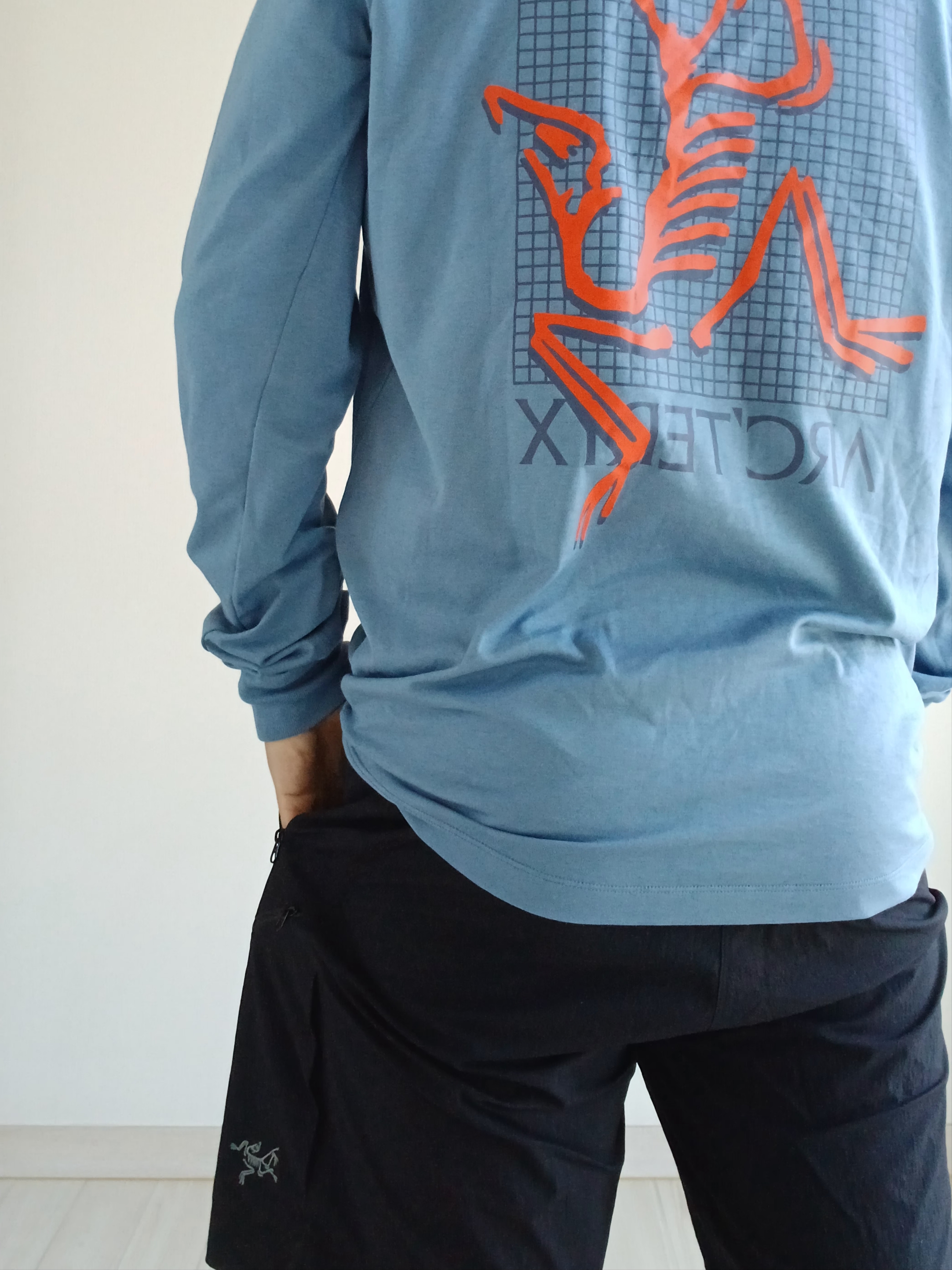 Arc'teryx Arc'Multi Bird Logo LS T-Shirt Stone Wash, Arc'teryx Gamma Quick Dry Shorts 9 Inch Canvas 착용 스타일 - 9
