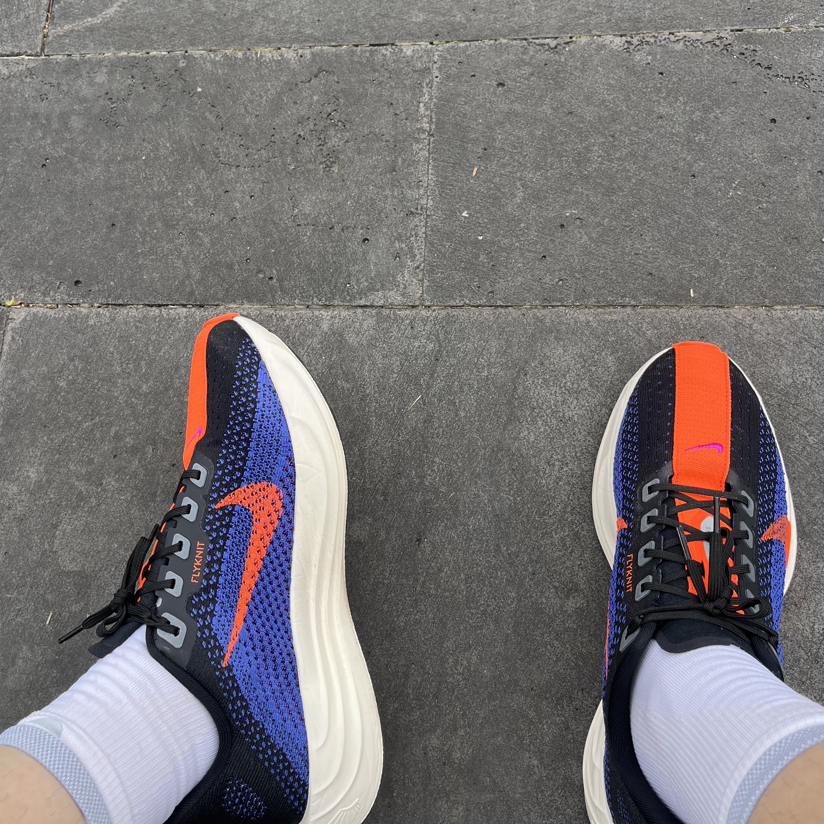 Nike Pegasus Plus Black Astronomy Blue 착용 스타일
