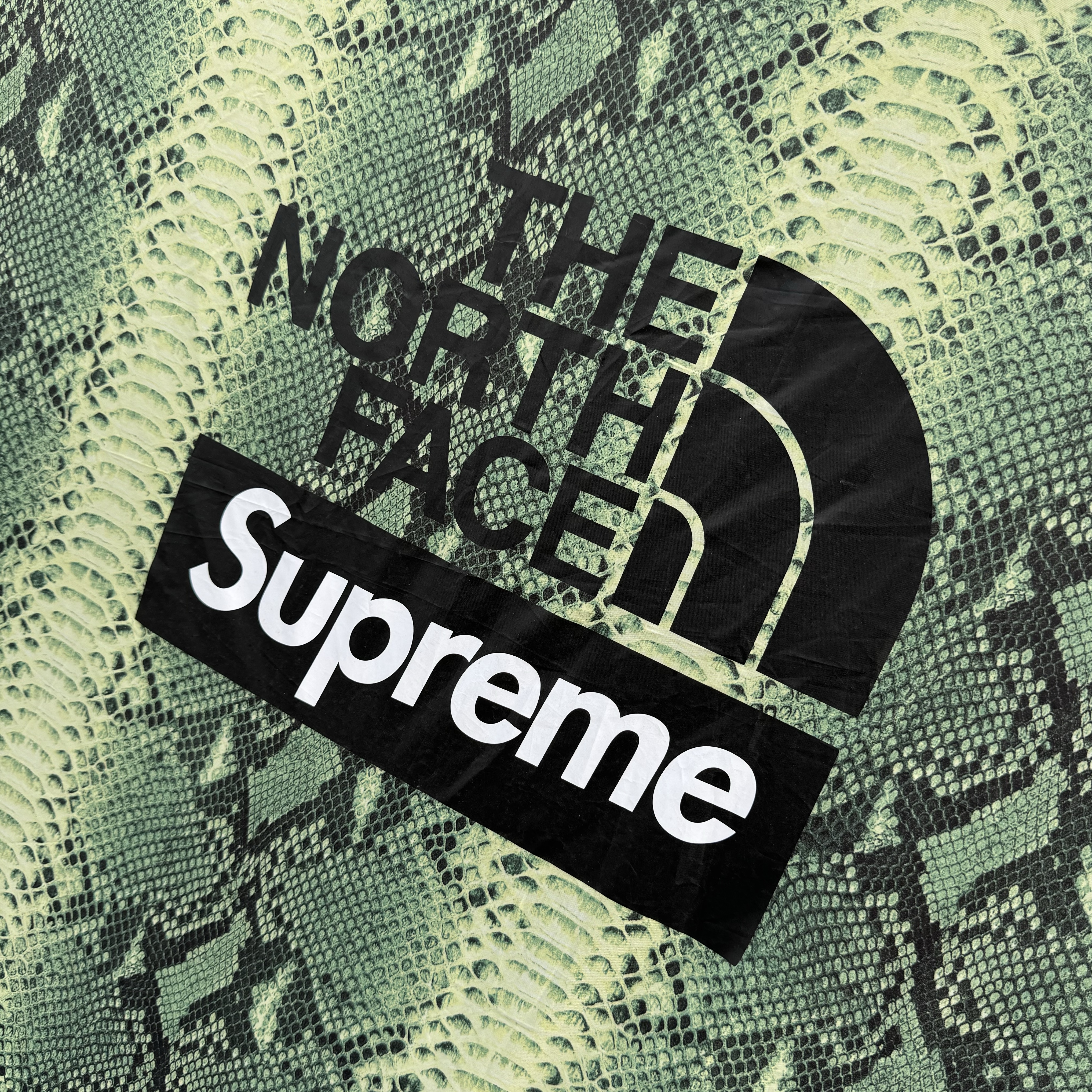 Supreme x The North Face Snakeskin Taped Seam Stormbreak 3 Tent Green - 18SS 착용 스타일
