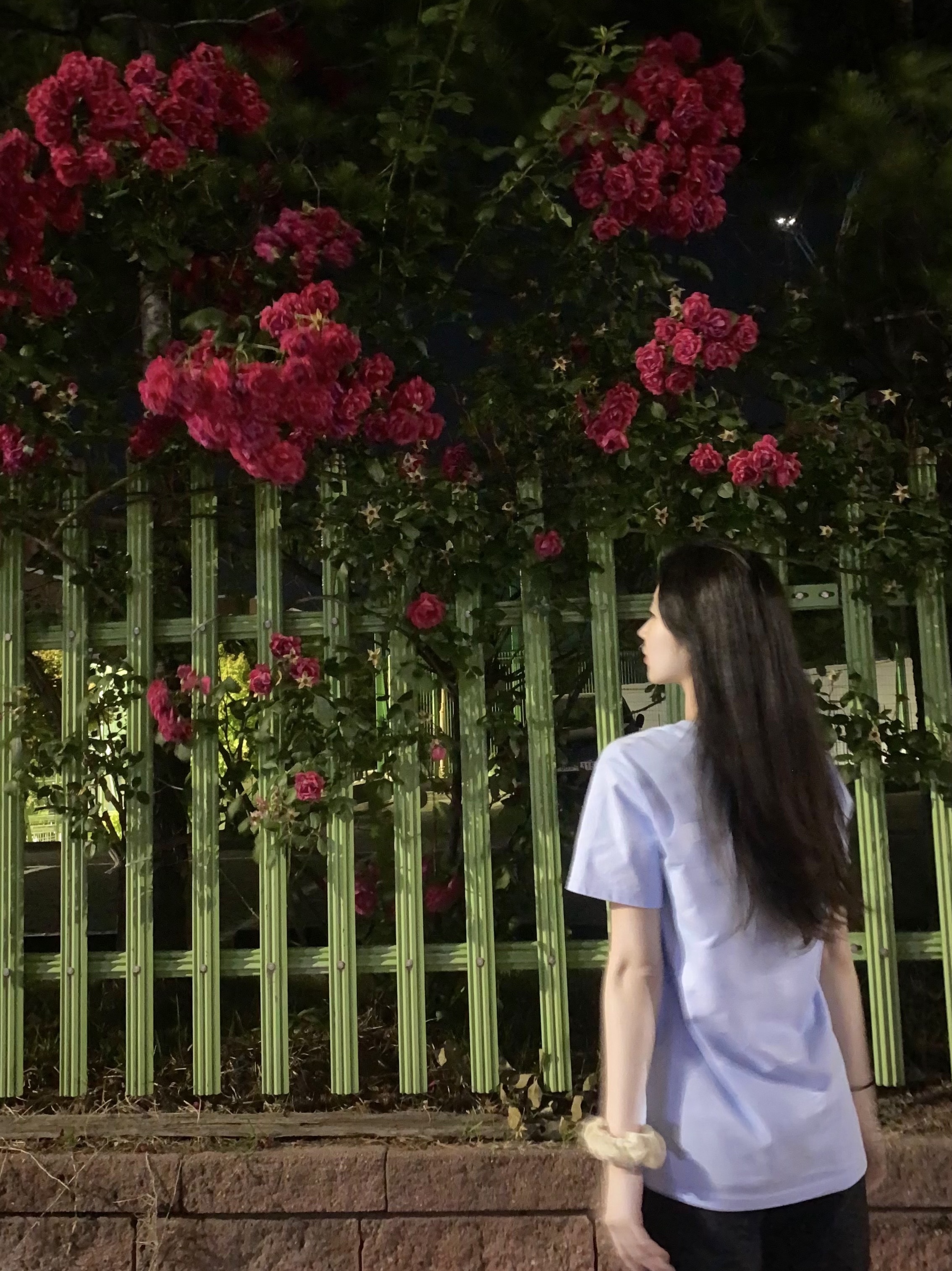 [예약 배송][KREAM 단독] Safarispot Basic Safari T-Shirt Sky 착용 스타일