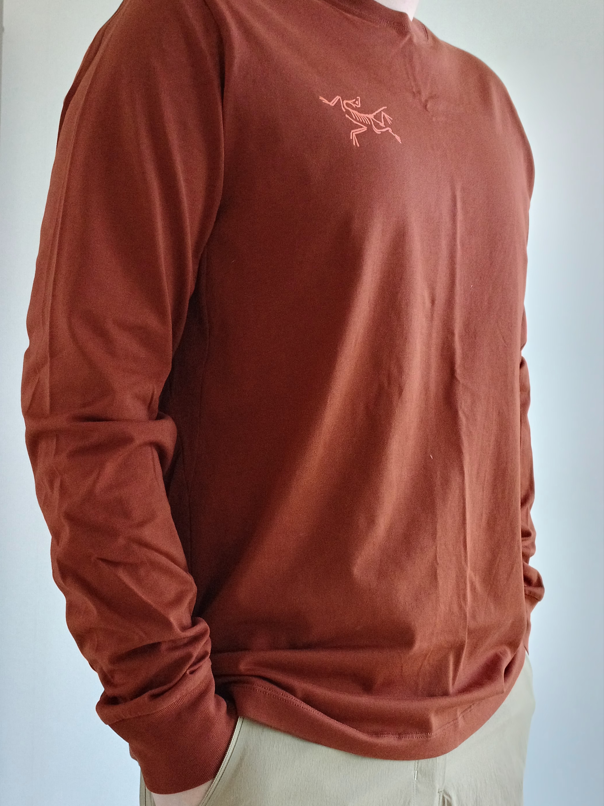 Arc'teryx Arc'Multi Bird Logo LS T-Shirt Sequoia Solaris, Arc'teryx Rampart Shorts 9 Inch Black 착용 스타일 - 10