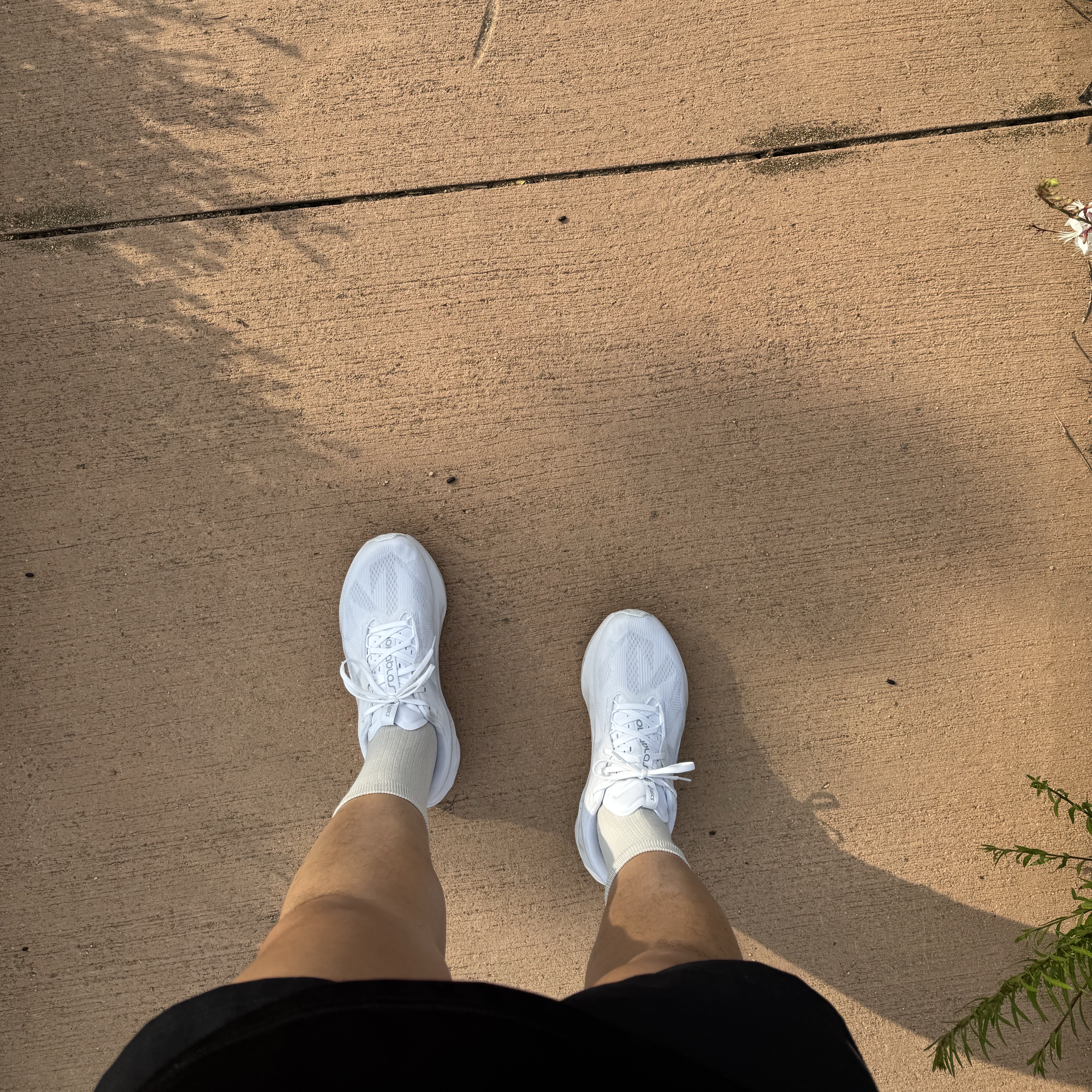 Asics Novablast 5 White Piedmont Grey 착용 스타일