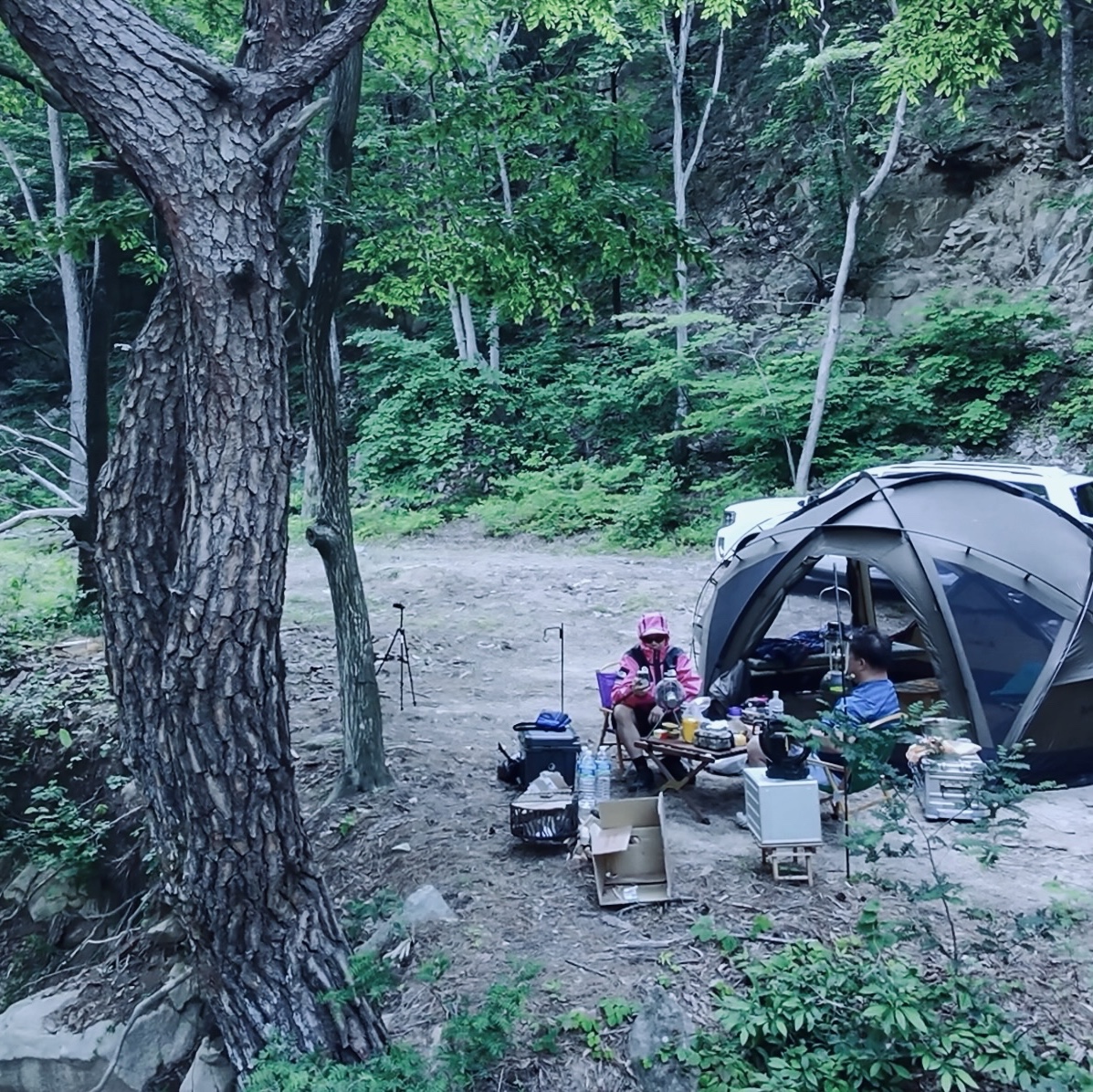 Supreme x The North Face Summit Series Outer Tape Seam Jacket Pink - 21SS, Oakley Eye Jacket Redux Matte Black Frame Prizm Grey Lenses High Bridge Fit 착용 스타일 - 5