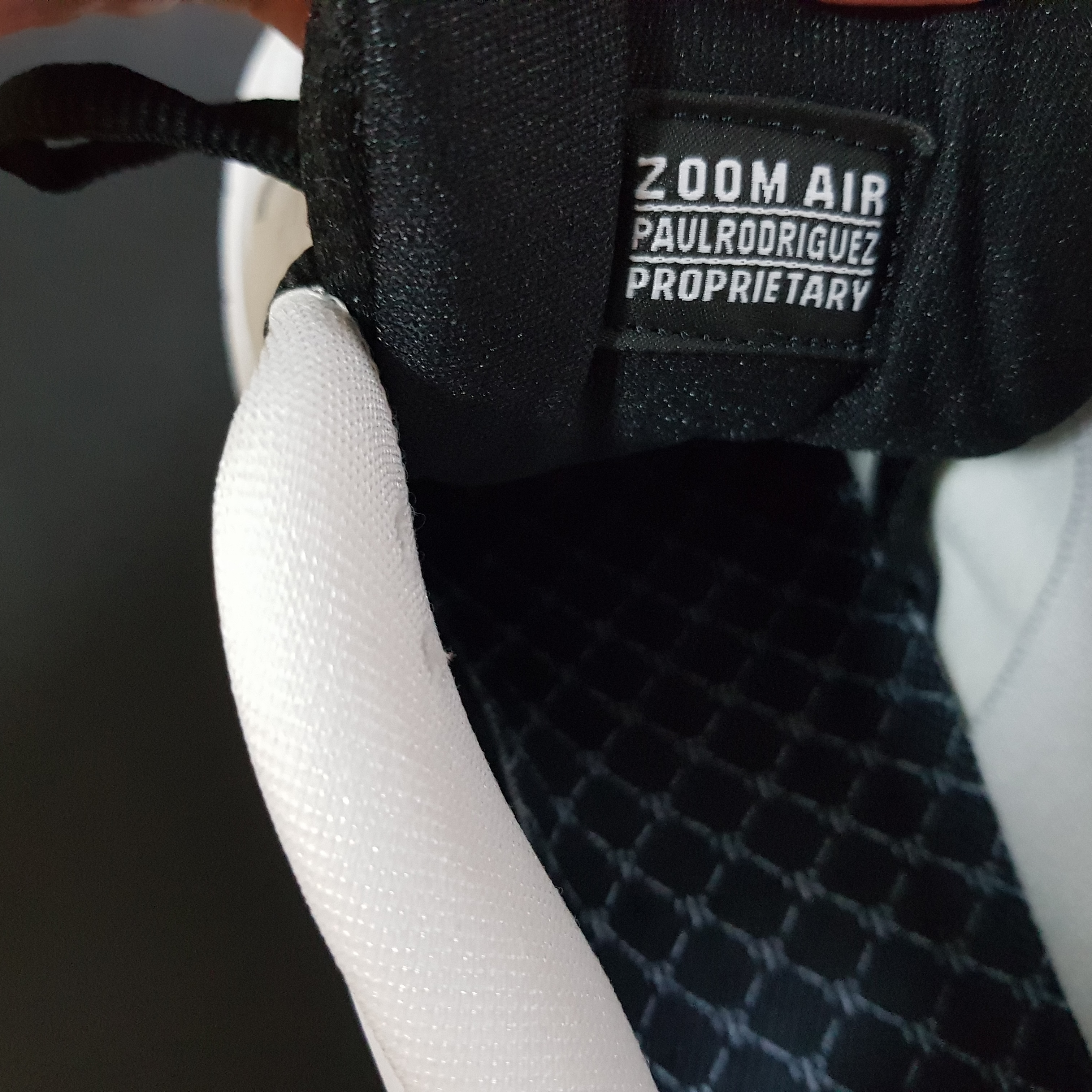 Nike x Paul Rodriguez SB Air Zoom Low White and Black 착용 스타일 - 1