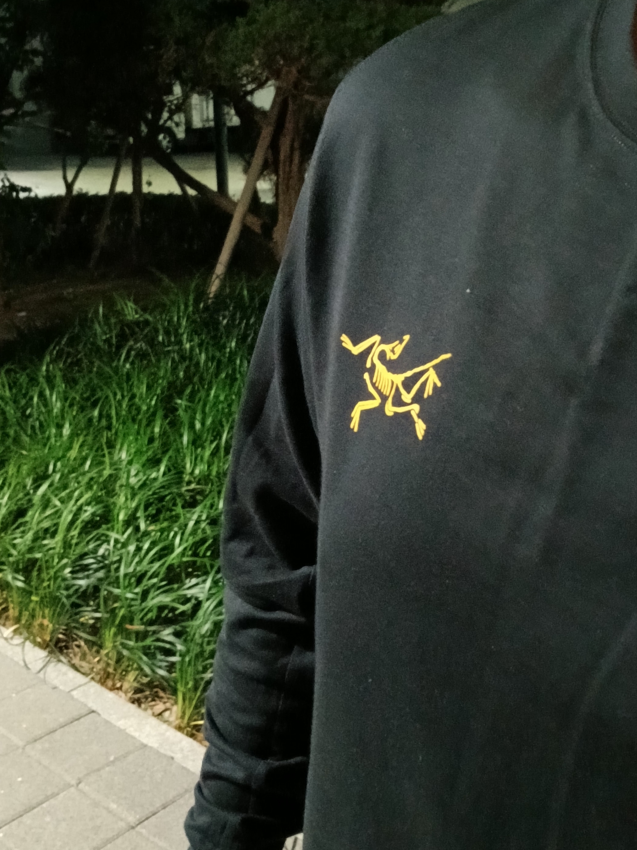 Arc'teryx Arc'Multi Bird Logo LS T-Shirt Black, Arc'teryx Gamma Quick Dry Shorts 9 Inch Canvas 착용 스타일 - 6