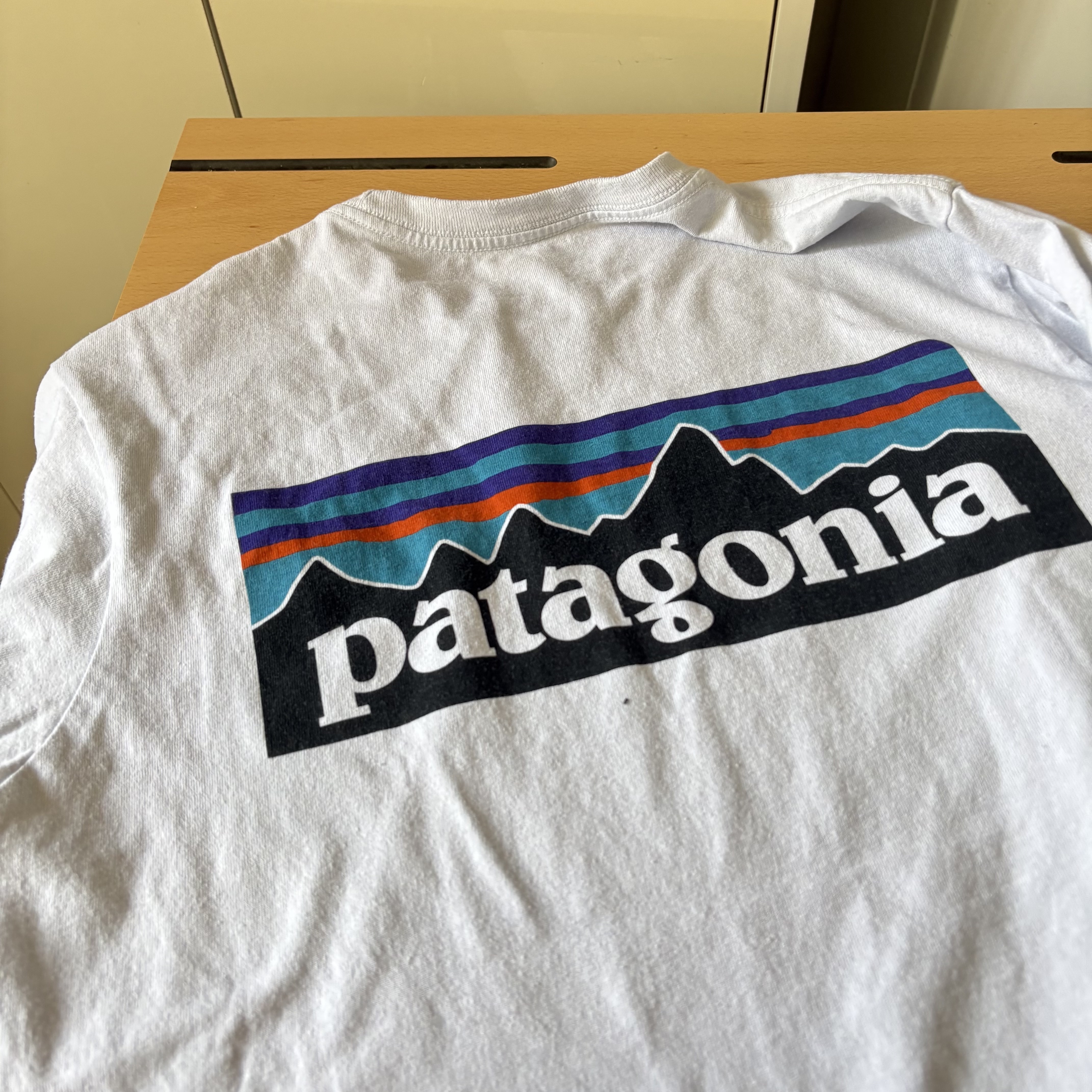 Patagonia P-6 Logo Responsibili-Tee S/S White 착용 스타일 - 1