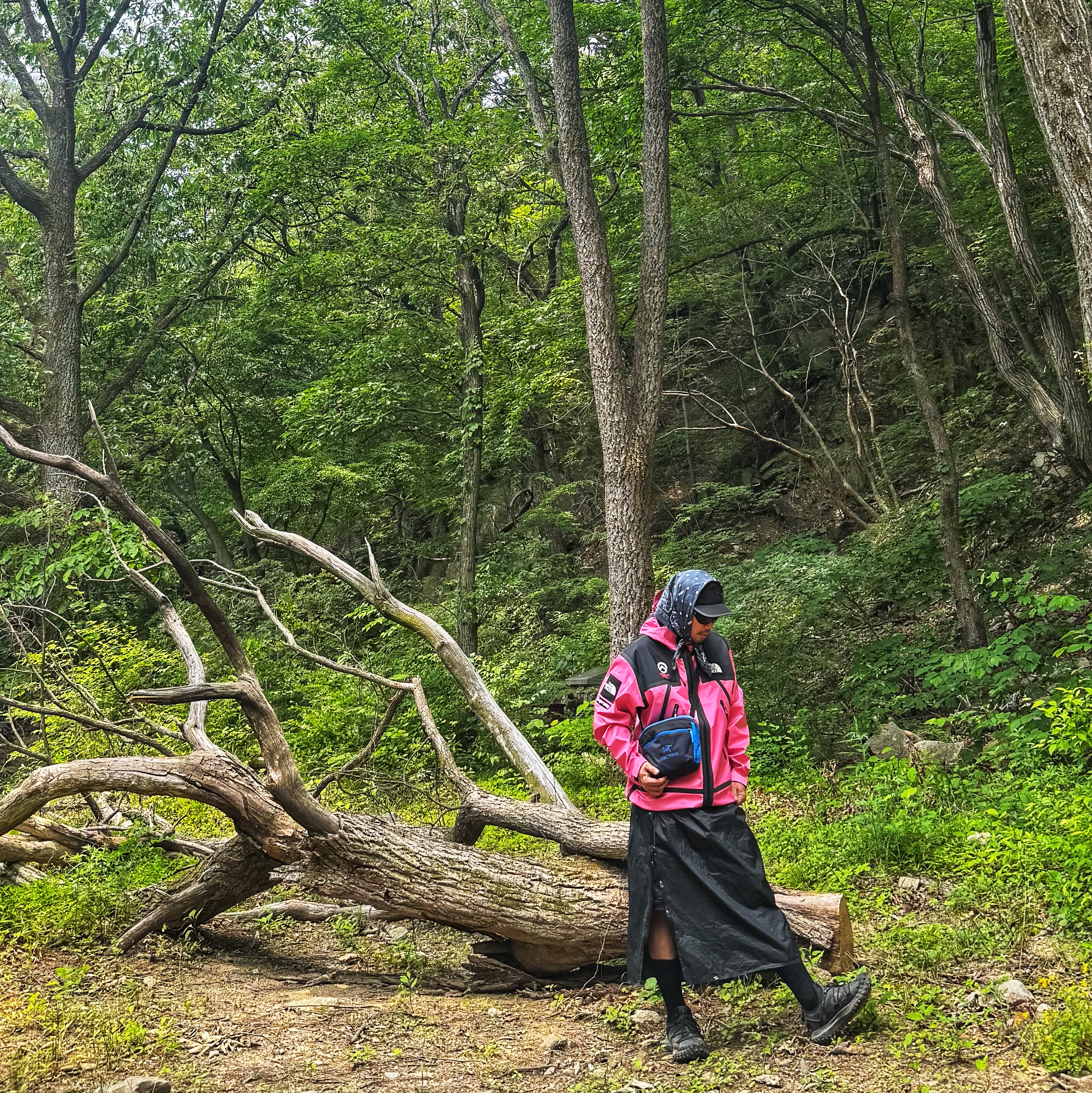 Supreme x The North Face Summit Series Outer Tape Seam Jacket Pink - 21SS, Oakley Eye Jacket Redux Matte Black Frame Prizm Grey Lenses High Bridge Fit 착용 스타일 - 1