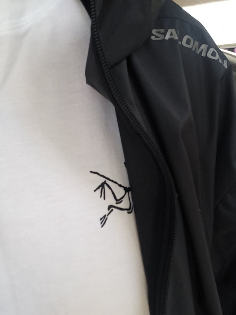 Arc'teryx Arc'Multi Bird Logo LS T-Shirt White Light, Arc'teryx Gamma Quick Dry Shorts 9 Inch Black 착용 스타일 - 6