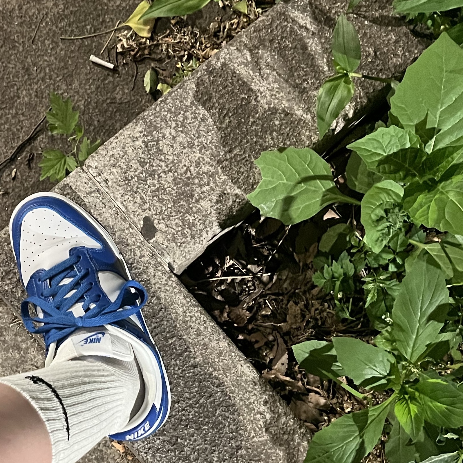 Nike Dunk Low SP Kentucky 2022 착용 스타일