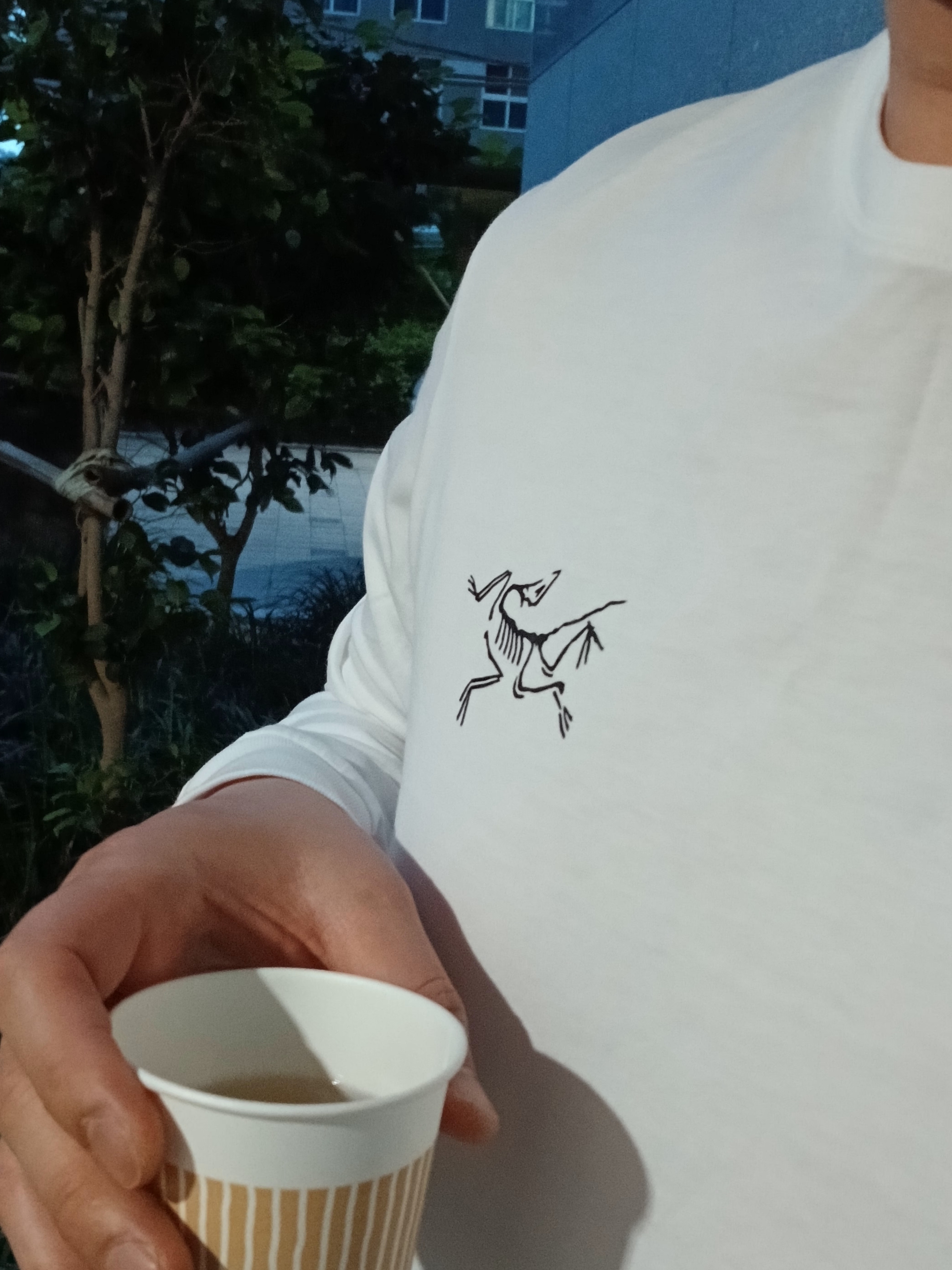 Arc'teryx Arc'Multi Bird Logo LS T-Shirt White Light, Arc'teryx Gamma Quick Dry Shorts 9 Inch Black 착용 스타일 - 8