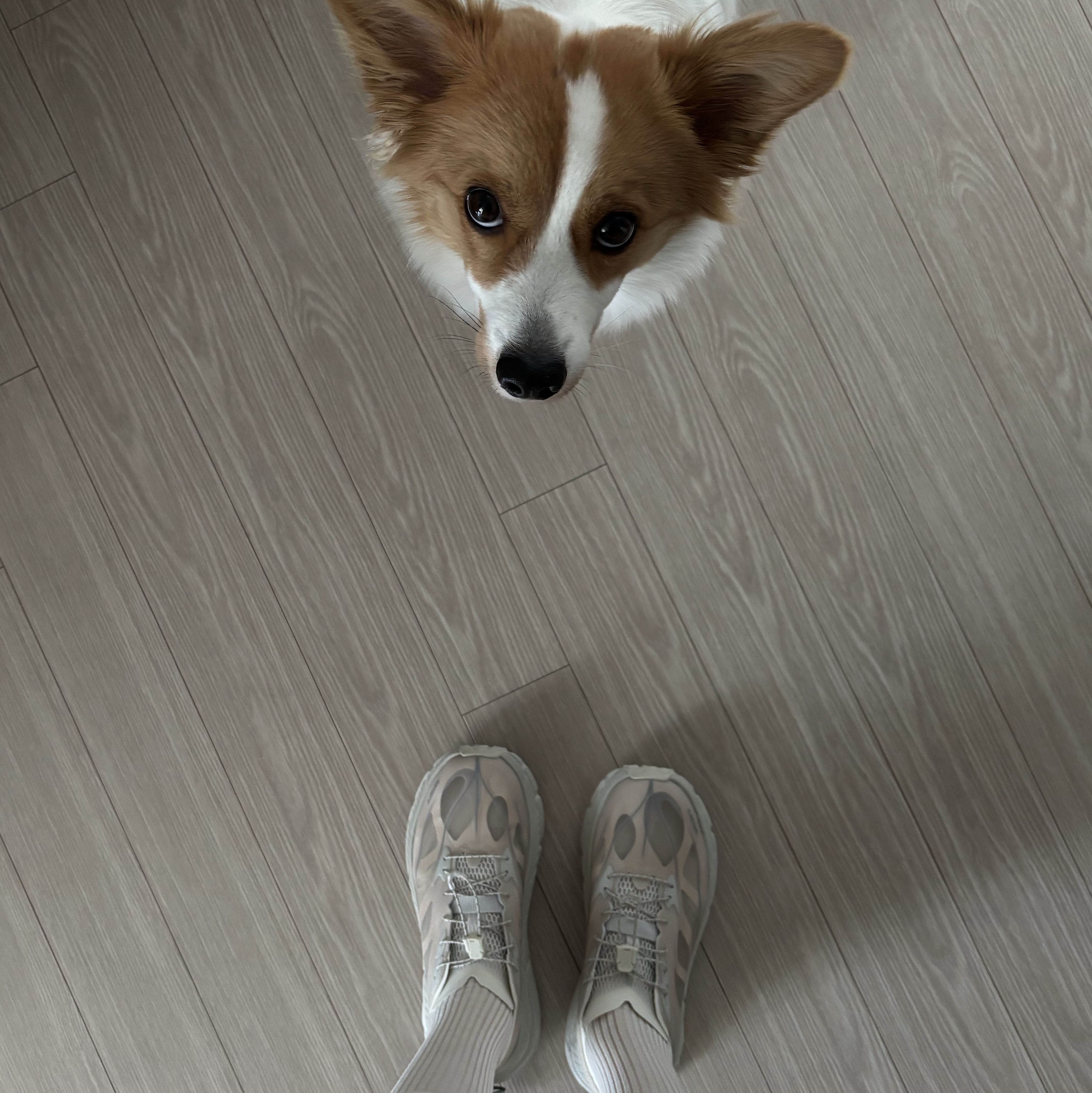 Hoka x Satisfy Mafate Speed 4 Lite Bone 착용 스타일 - 1