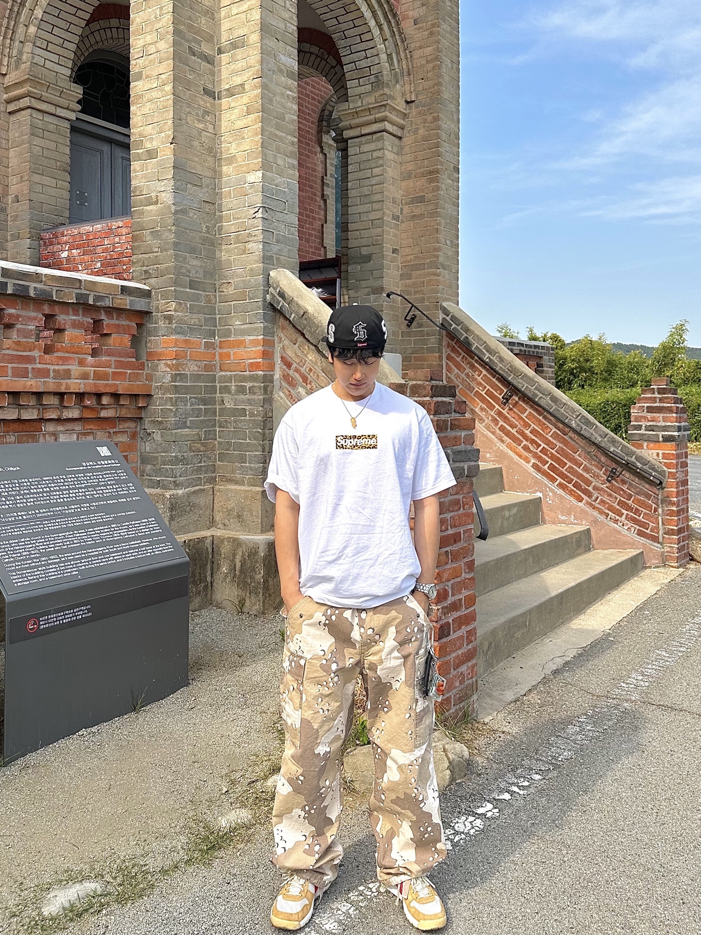 Stussy Ripstop Military Cargo Pants Desert Camo, Supreme Multi S Logo New Era Black - 25SS 착용 스타일 - 2