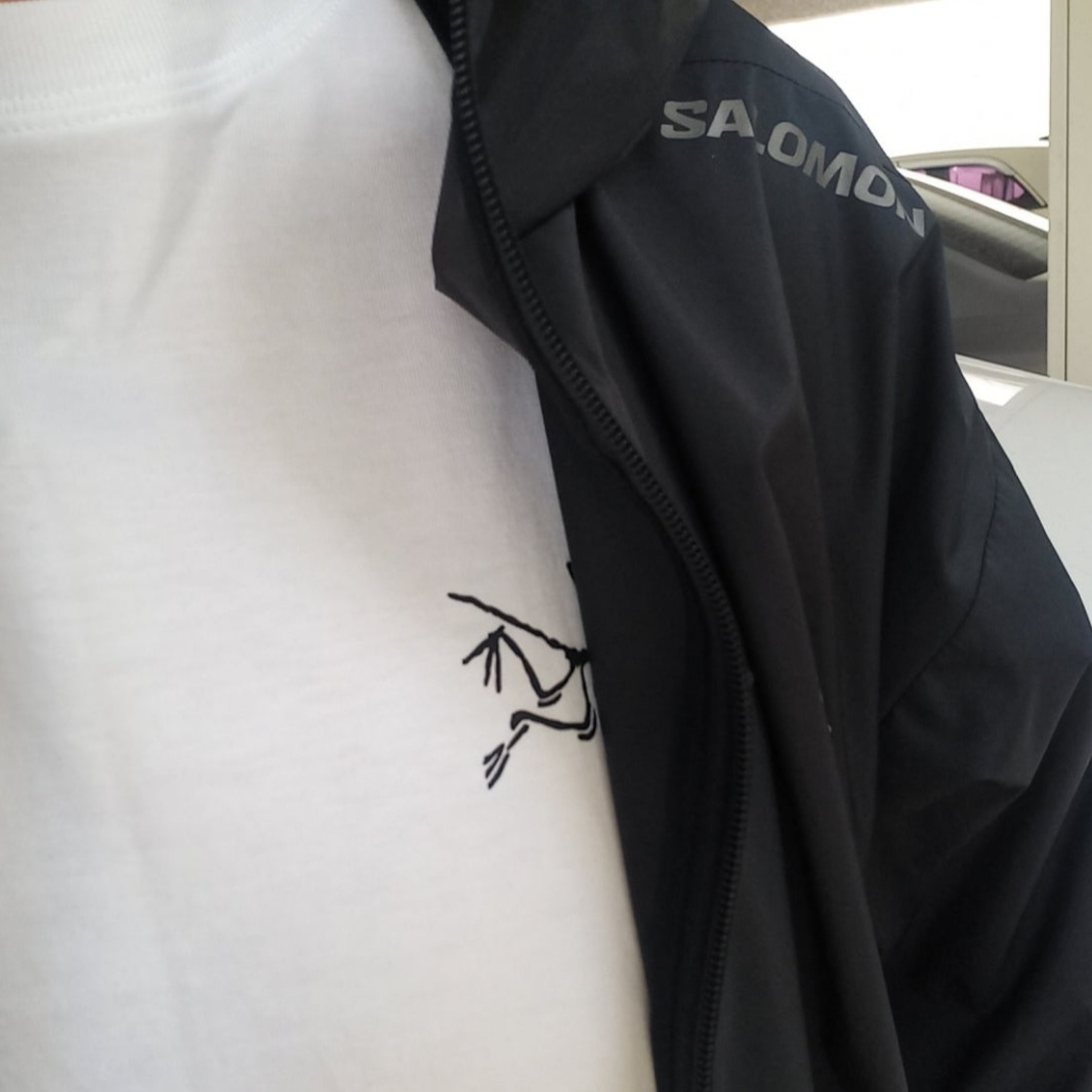 Salomon Link Short Sleeve T-Shirt Black, Arc'teryx Arc'Multi Bird Logo SS T-Shirt White Light 착용 스타일 - 6
