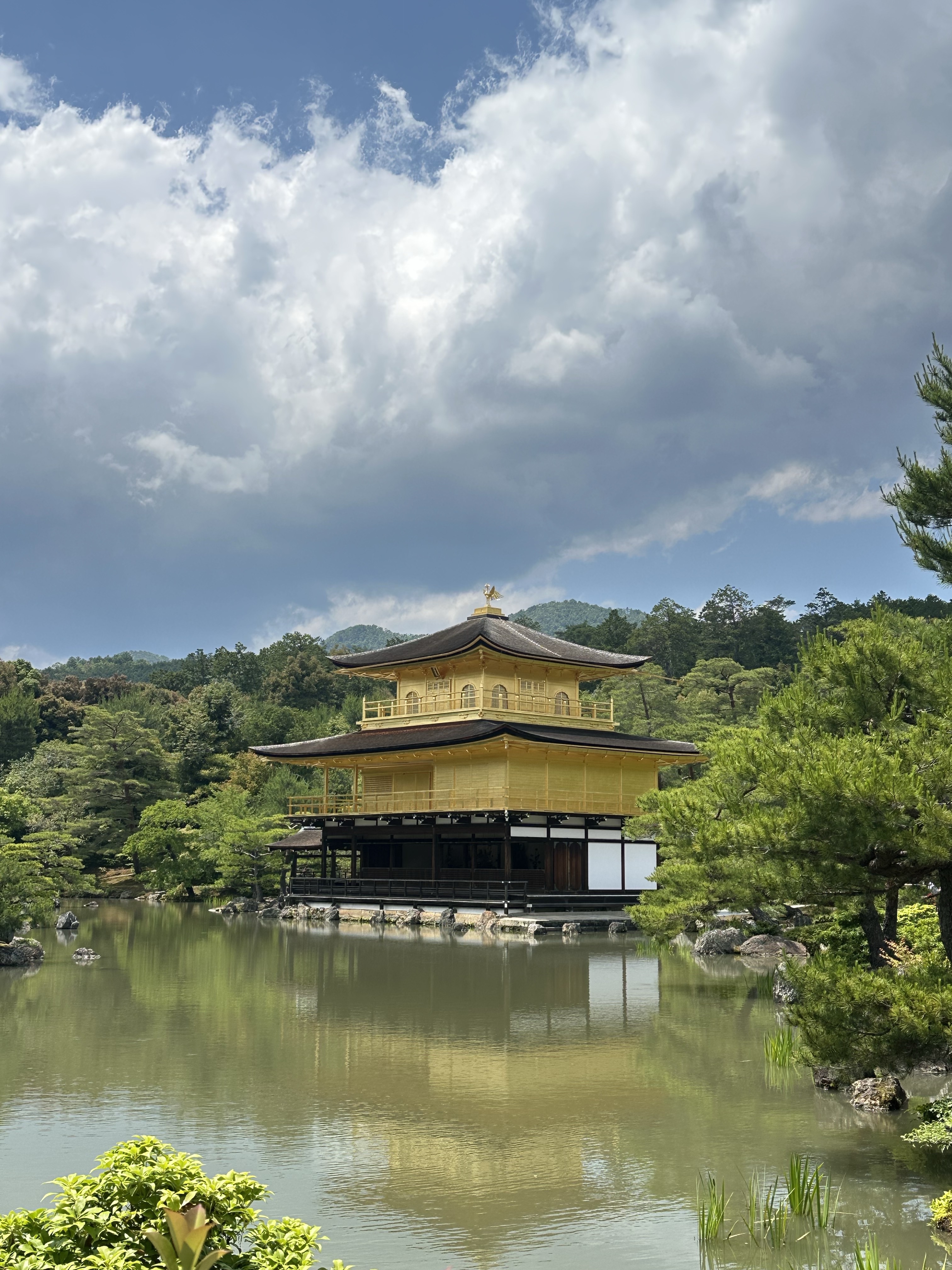 Ayoh님의 스타일 - 3