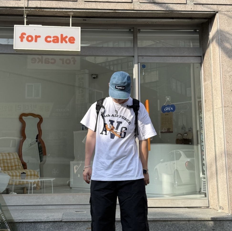 Gildan X American Collection AVG TIGER T-Shirt White 착용 스타일 - 2