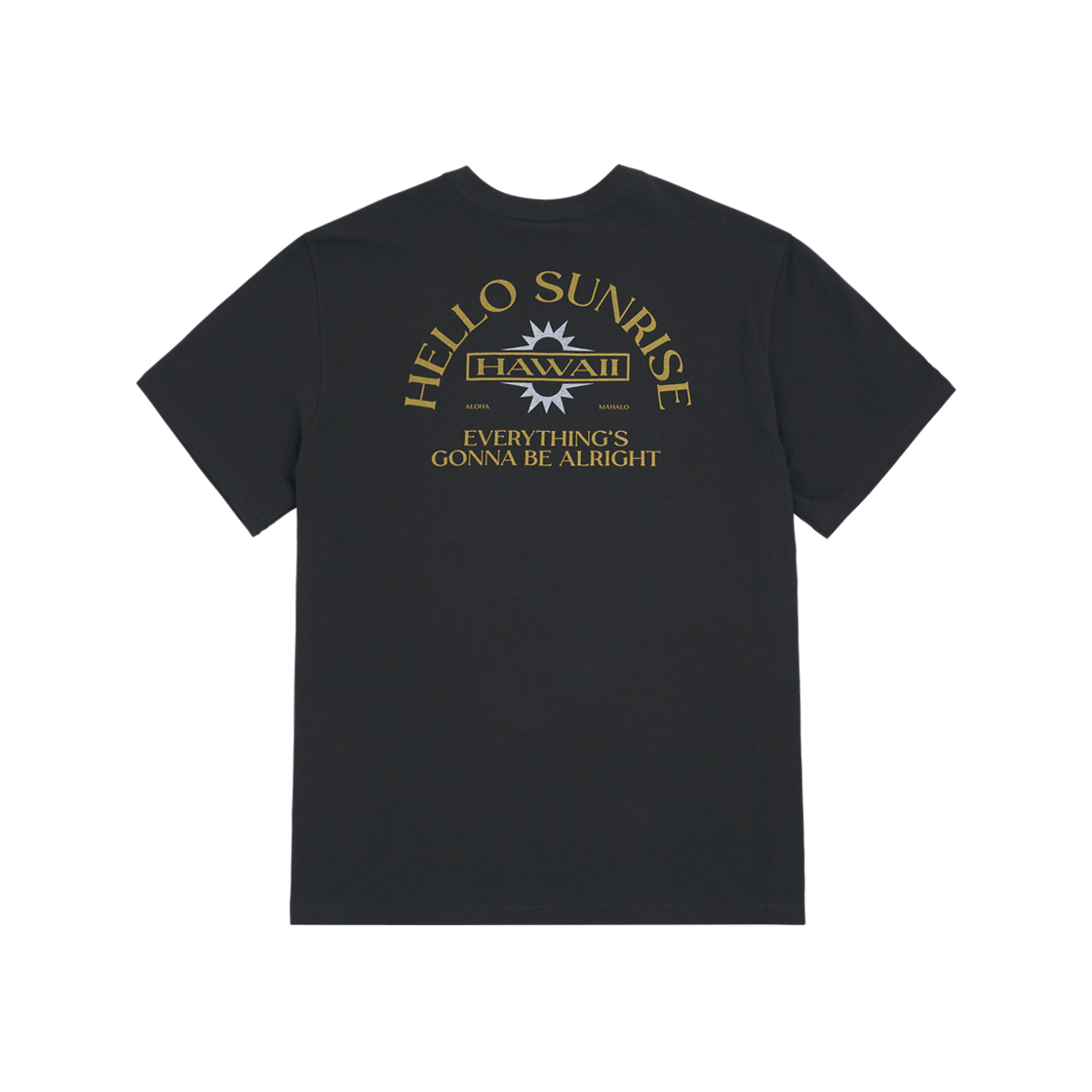 【HELLO SUNRISE】 HAWAII Arch Logo Tee /追跡付 p_beabdbdb201f420186604cf1822b