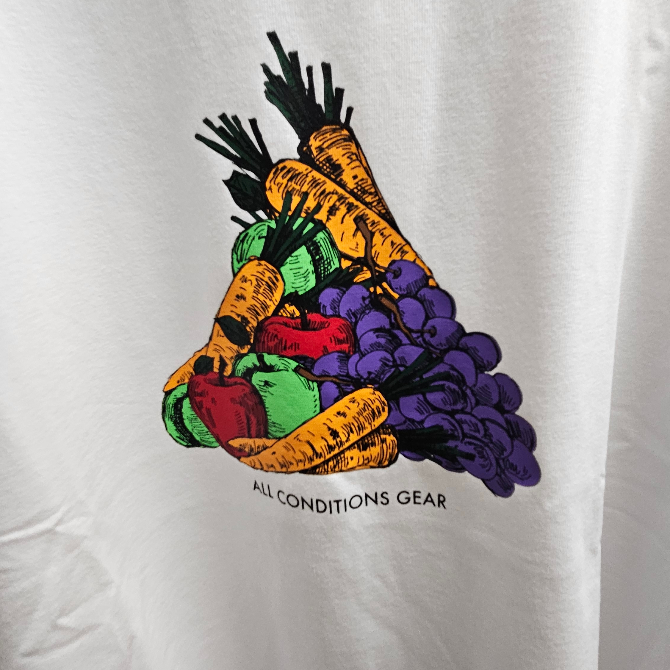 Nike ACG Fruit and Veggies T-Shirt - Asia 착용 스타일
