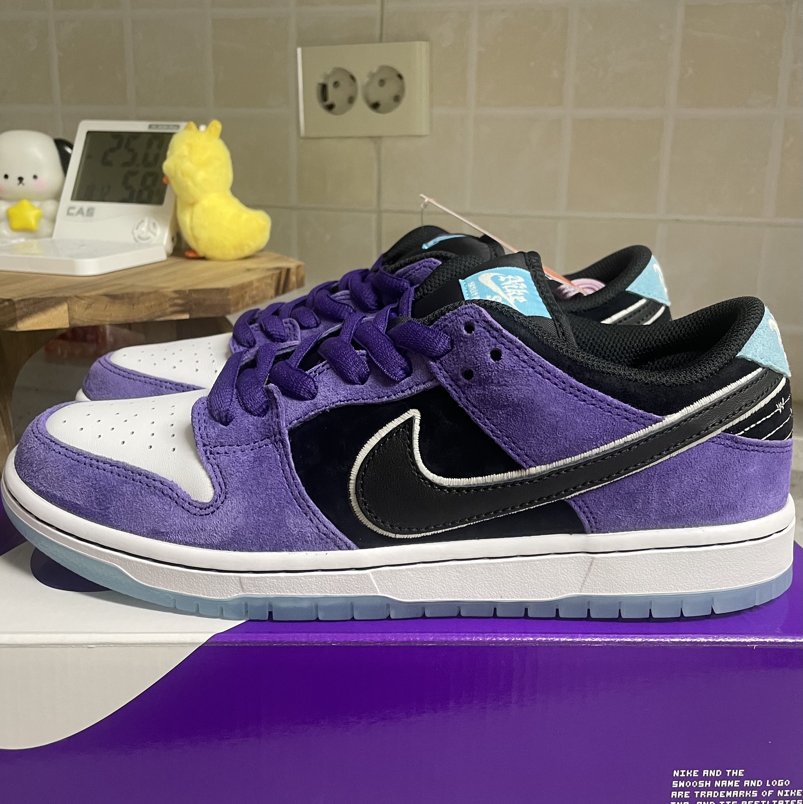 Nike x Hayley Wilson SB Dunk Low Pro Black and Court Purple, Nike Dunk Low Ugly Duckling Purple 착용 스타일 - 6