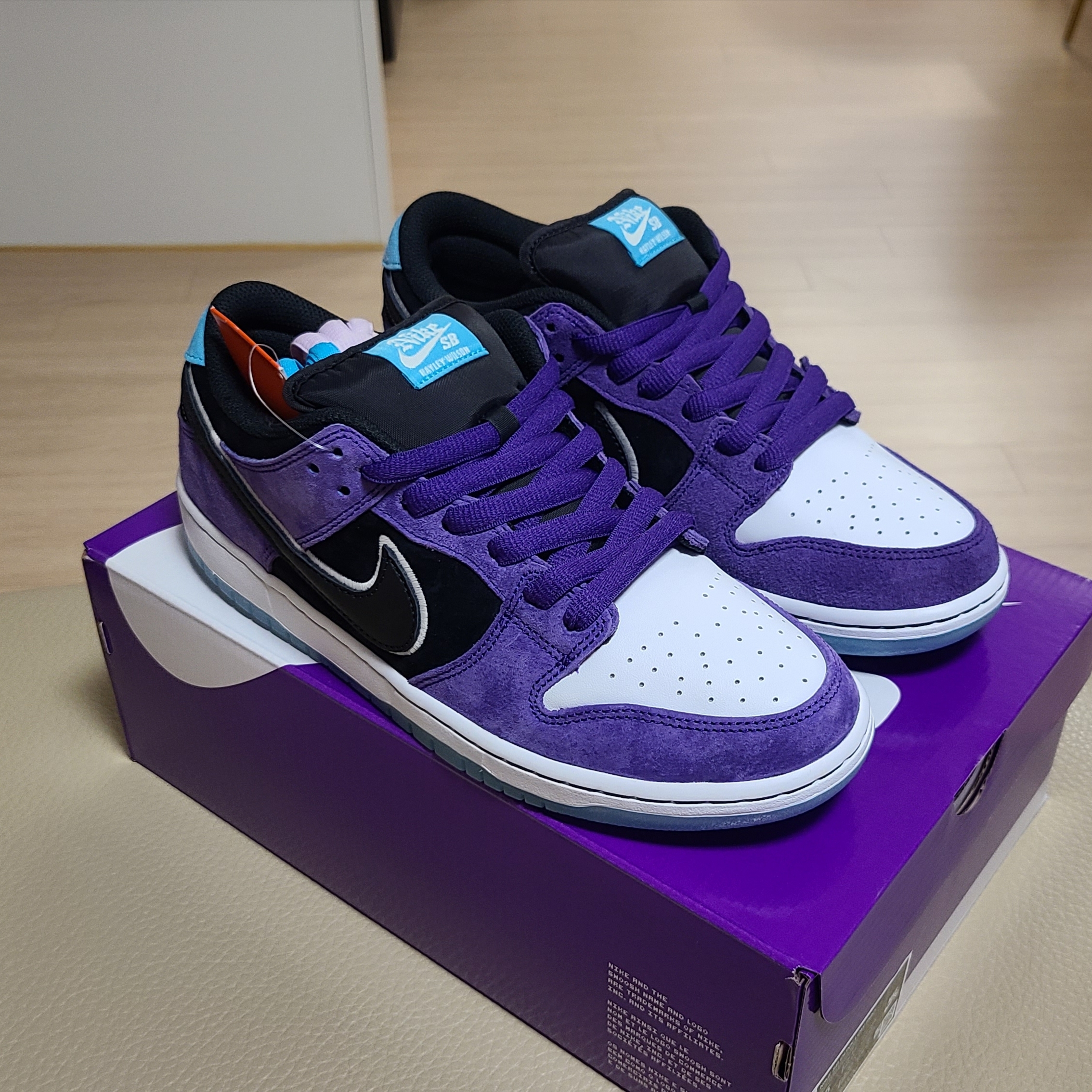 Nike x Hayley Wilson SB Dunk Low Pro Black and Court Purple 착용 스타일 - 2