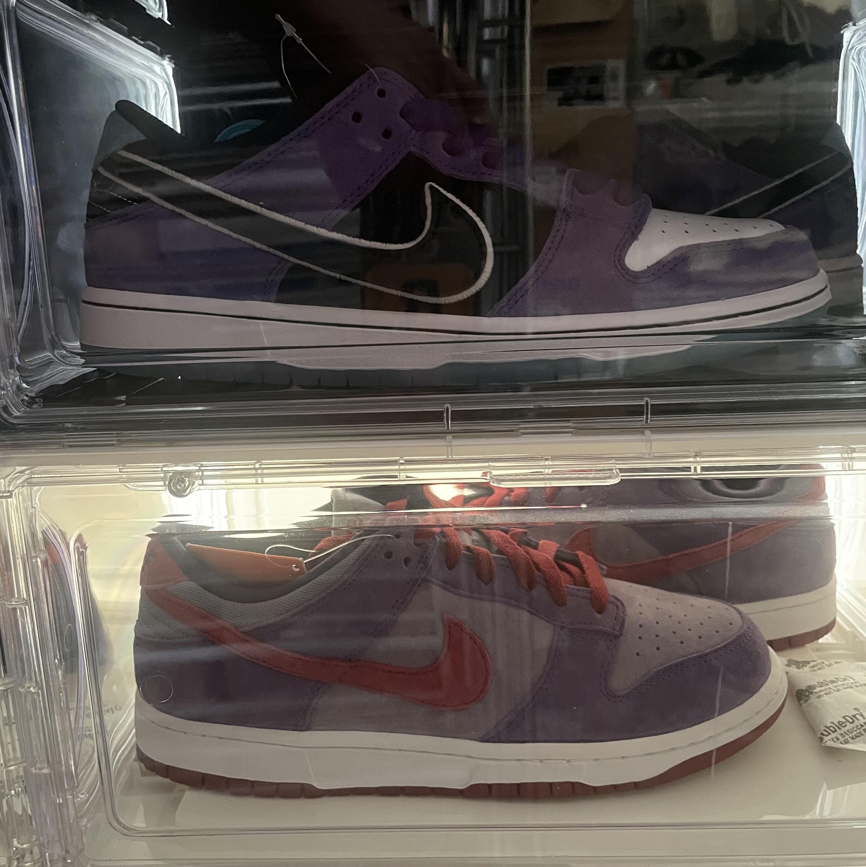 Nike x Hayley Wilson SB Dunk Low Pro Black and Court Purple, Nike Dunk Low Ugly Duckling Purple 착용 스타일 - 9