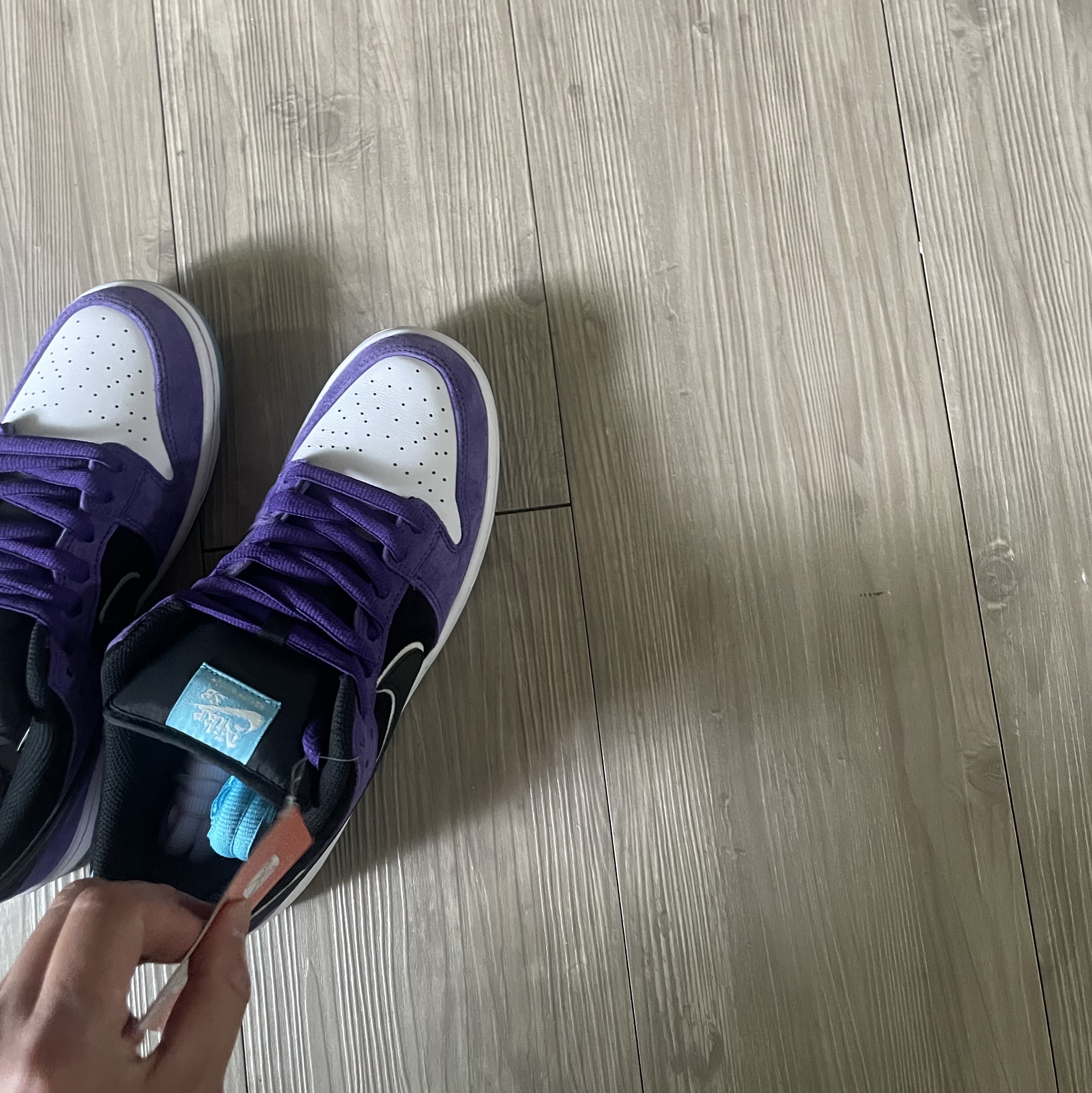 Nike x Hayley Wilson SB Dunk Low Pro Black and Court Purple, Nike Dunk Low Ugly Duckling Purple 착용 스타일 - 1