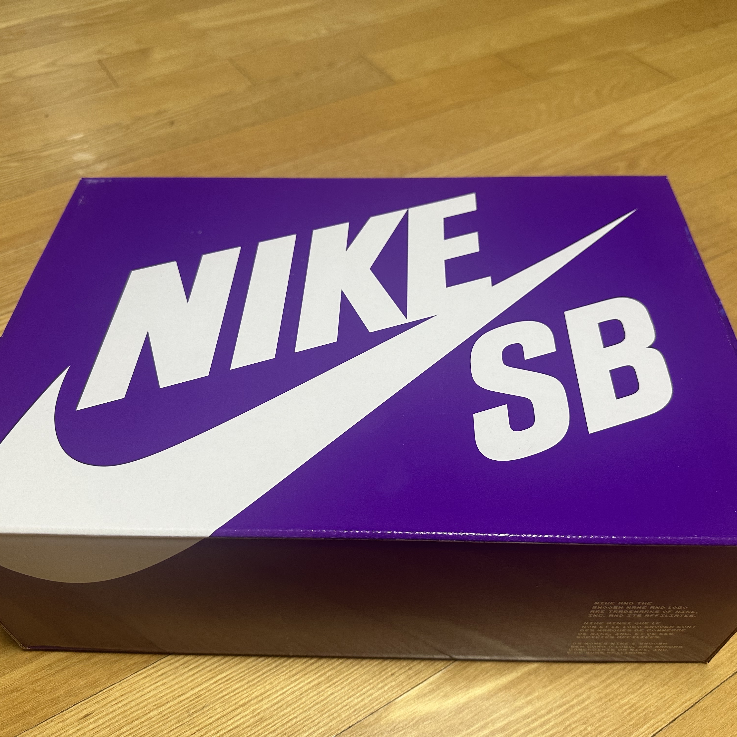 Nike x Hayley Wilson SB Dunk Low Pro Black and Court Purple 착용 스타일 - 2