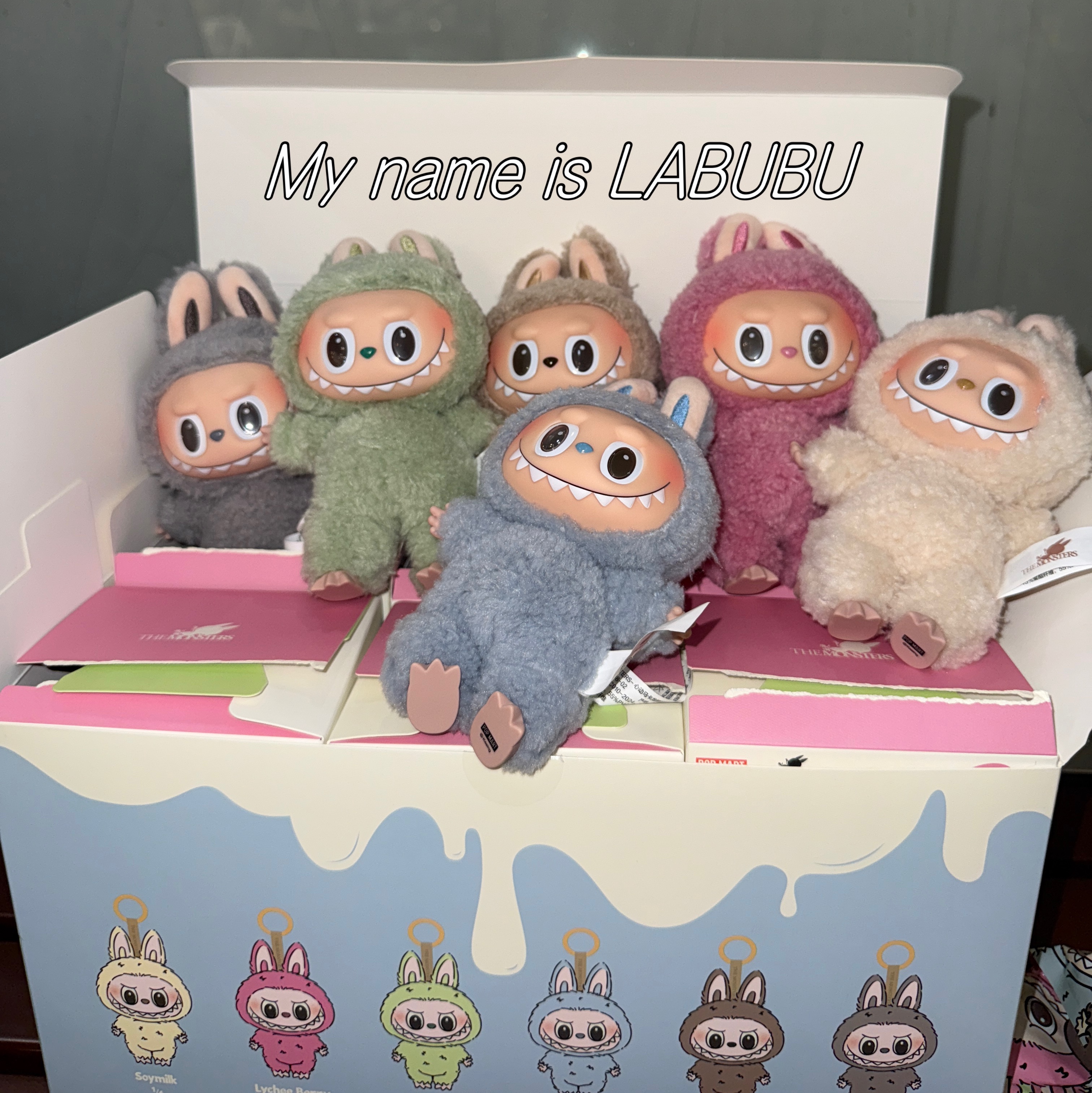 Pop Mart The Monsters Labubu Tasty Macarons Series Sealed Case (6 Blind Boxes) 착용 스타일