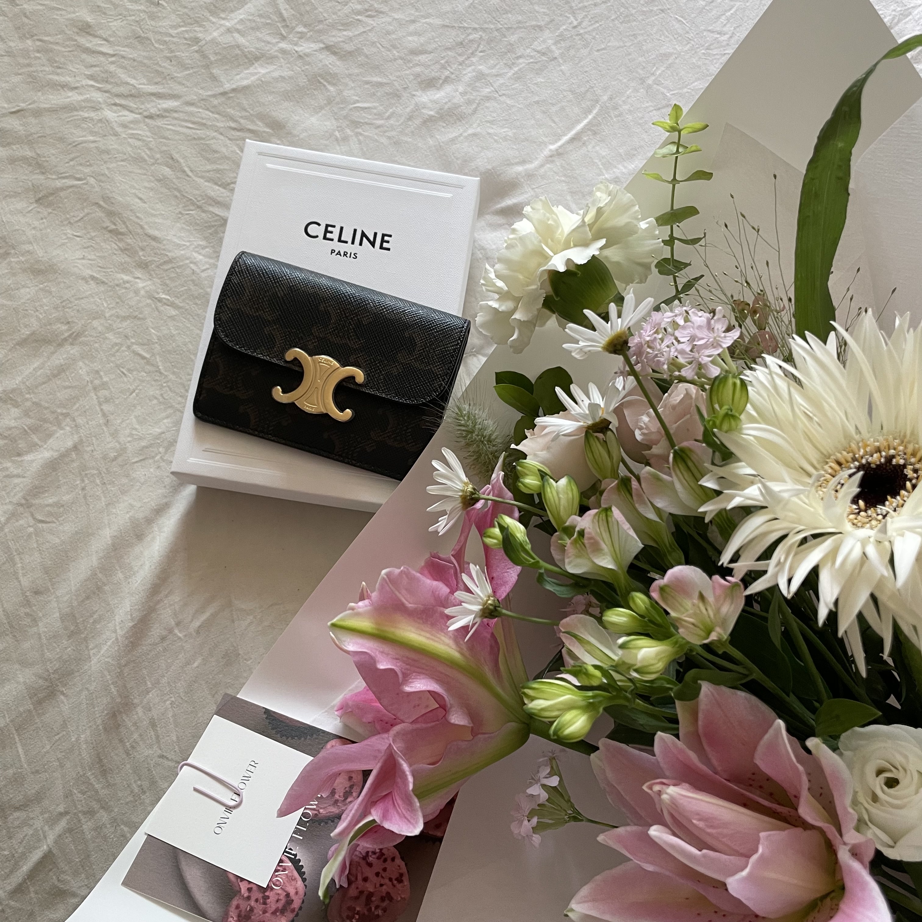 Celine Card Holder with Flap in Triomphe Canvas Tan 착용 스타일