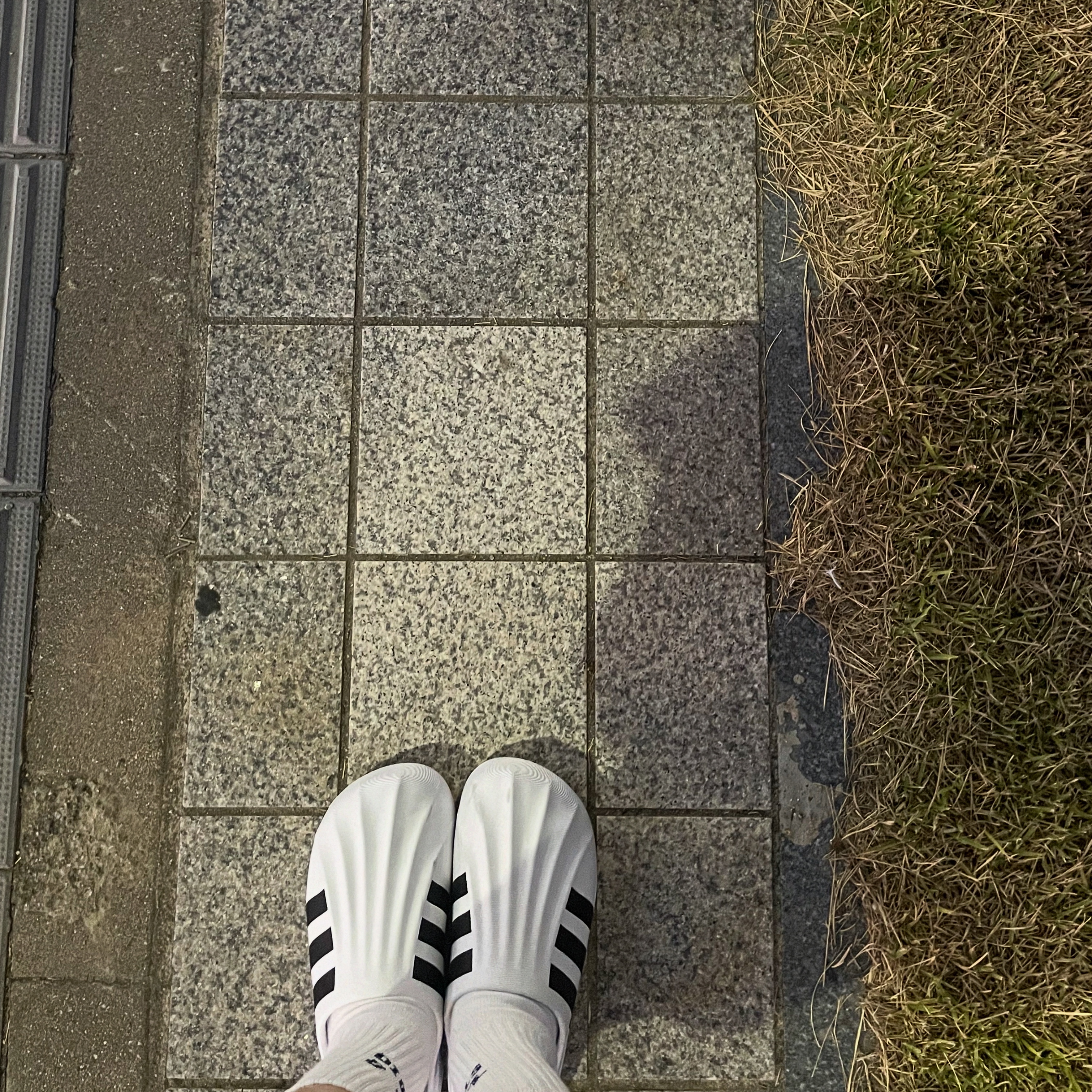 Adidas Adifom Superstar Mule Cloud White 착용 스타일 - 1