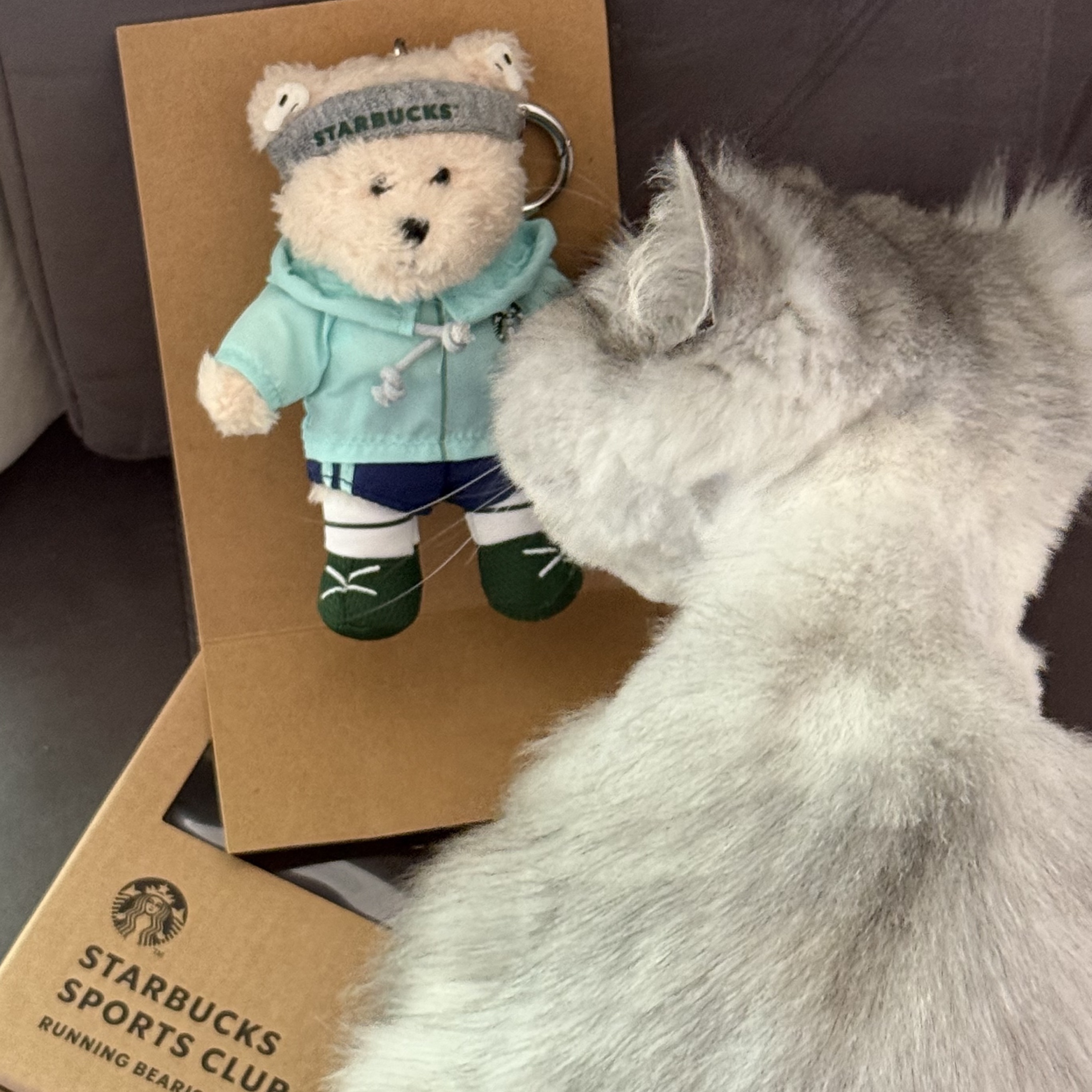Starbucks Running Bearista Keychain 착용 스타일 - 2