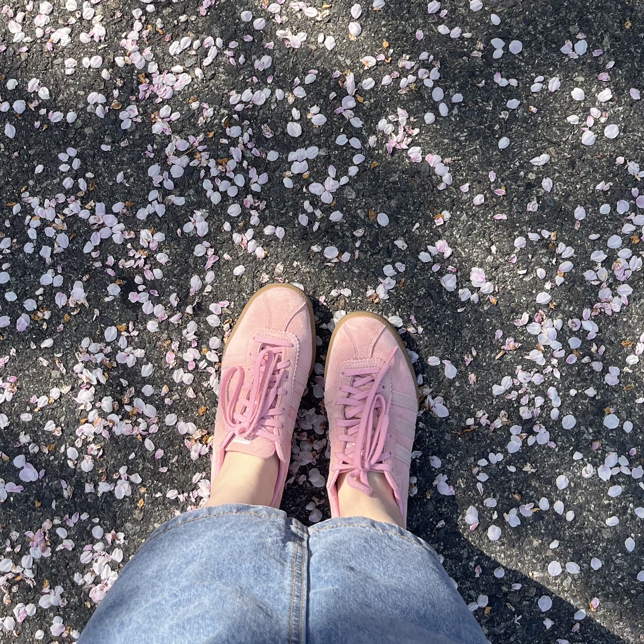 Adidas Bermuda Glow Pink 착용 스타일
