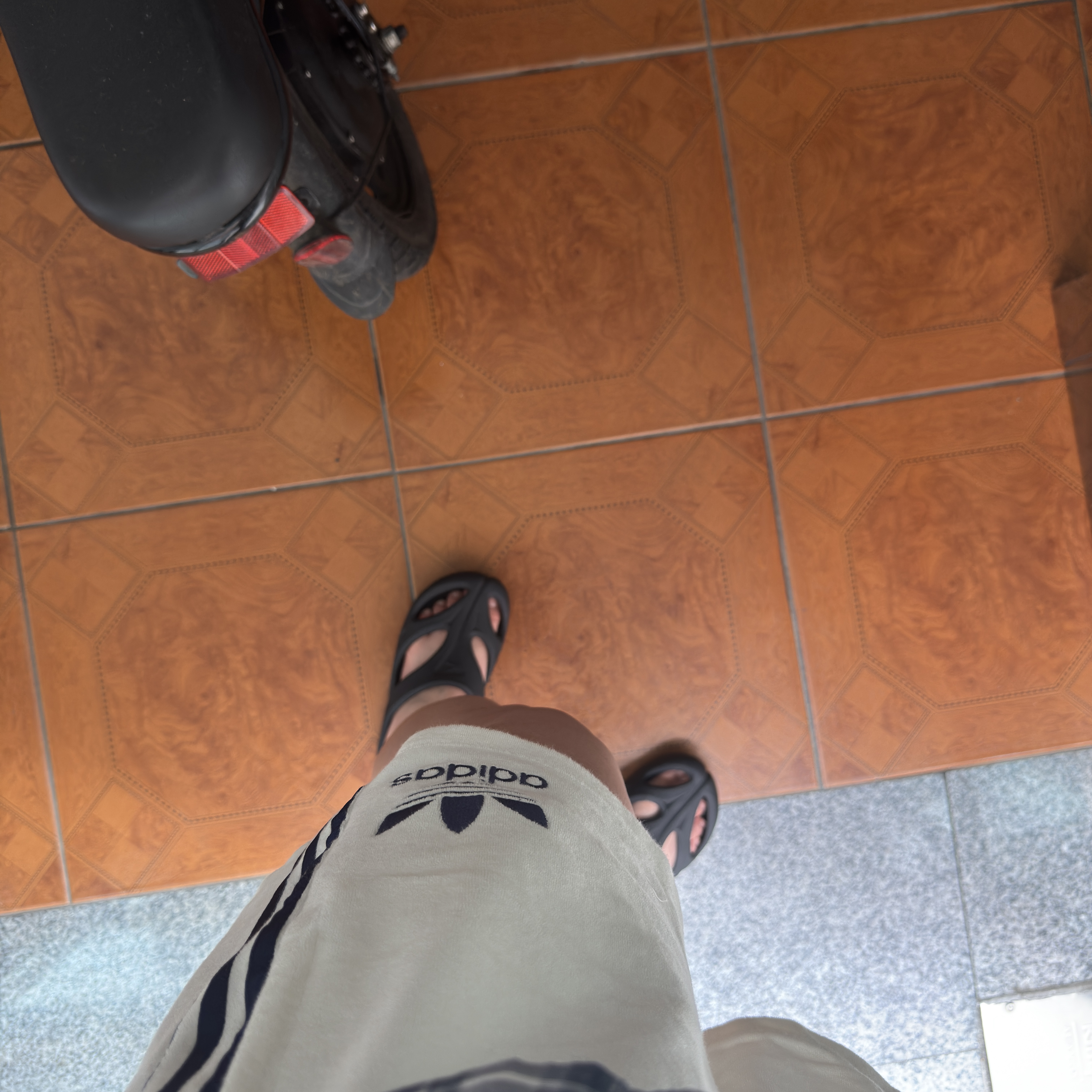 (W) Adidas Terry Shorts Off White - KR Sizing 착용 스타일