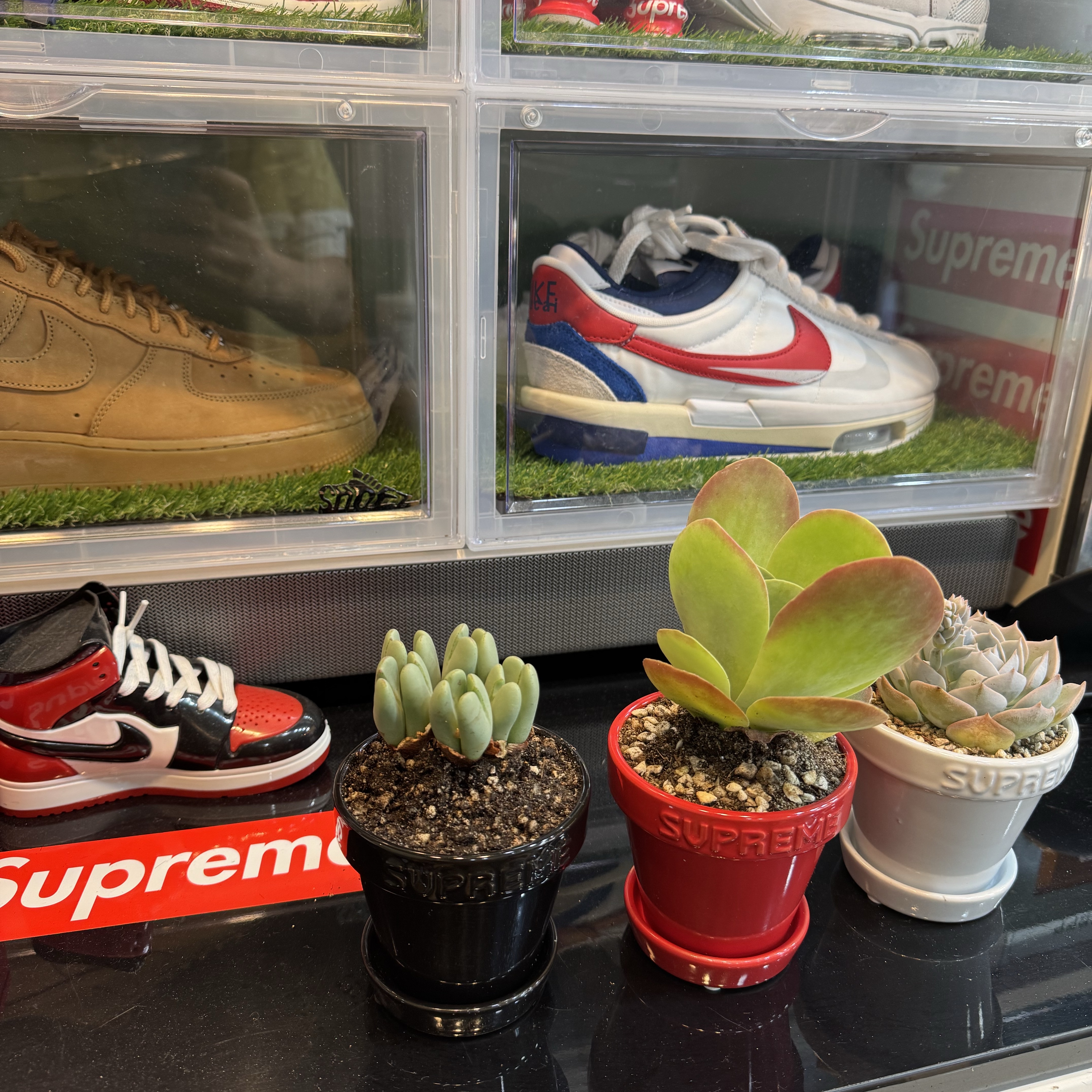 Supreme Mini Planters Multicolor (Set of 3) - 25SS 착용 스타일