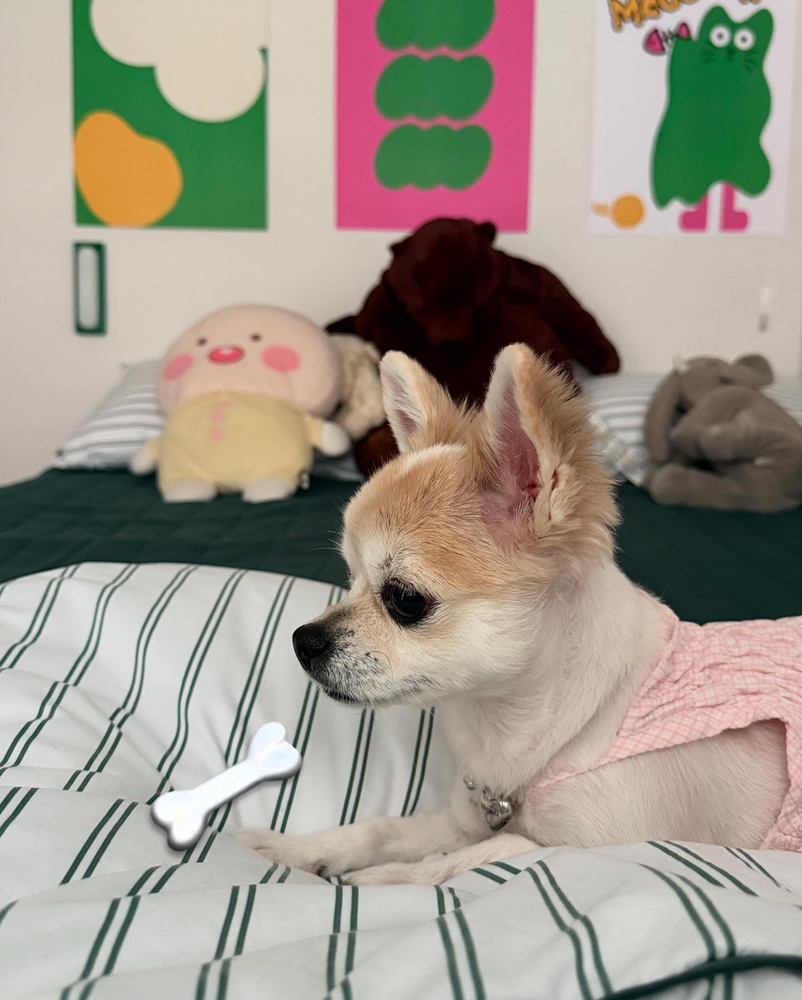KREAM 프로필 이미지