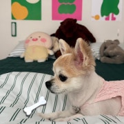 KREAM 프로필 이미지