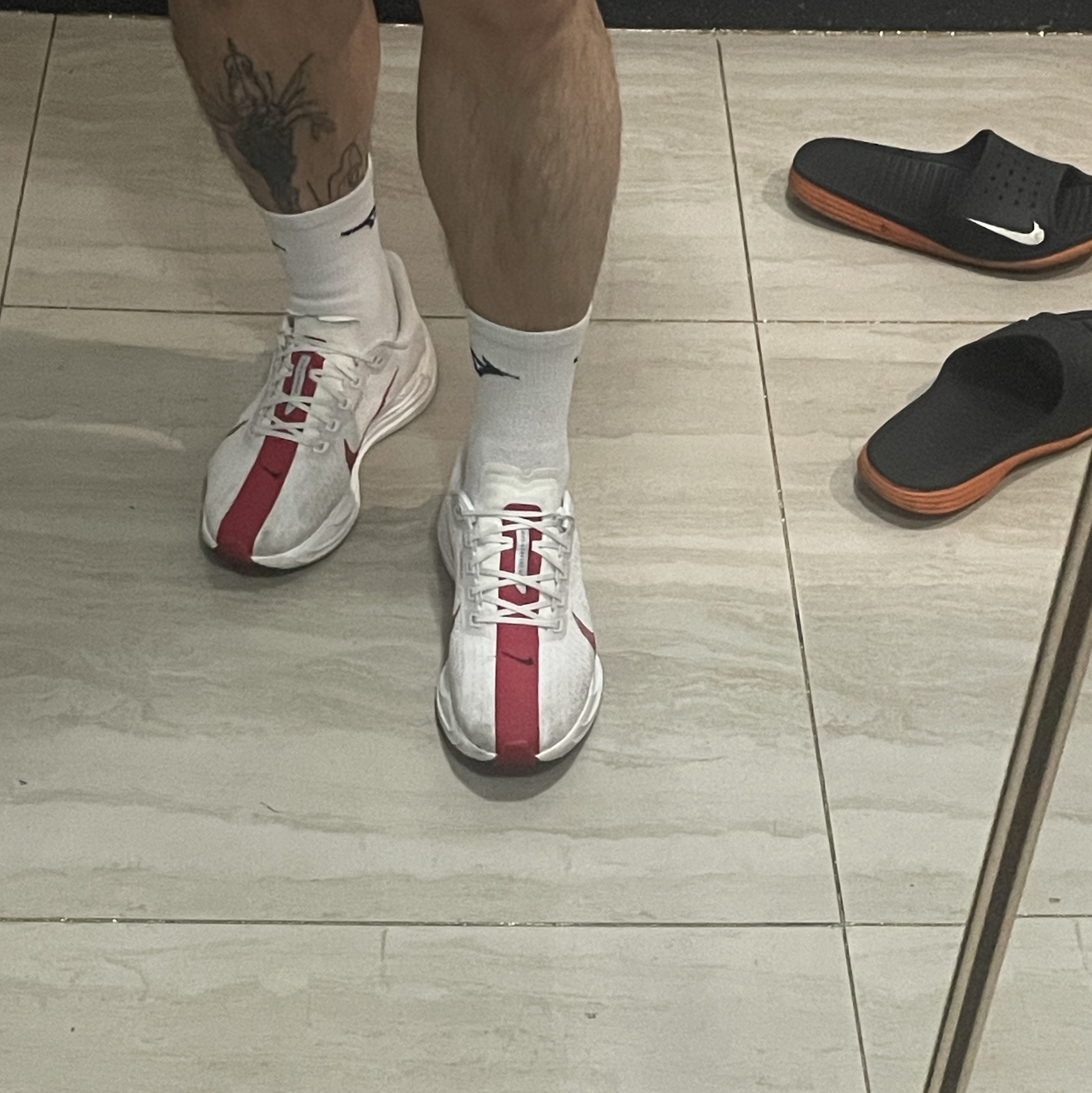 Nike Pegasus Plus Platinum Tint University Red 착용 스타일 - 2